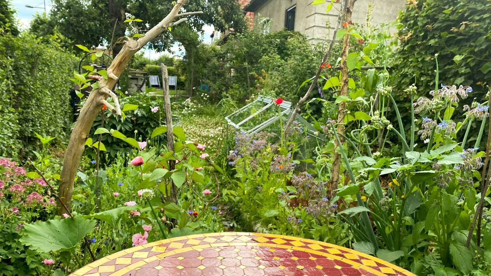 Her blomstrer prydvekster i alle farger og fasonger. Galleribilde