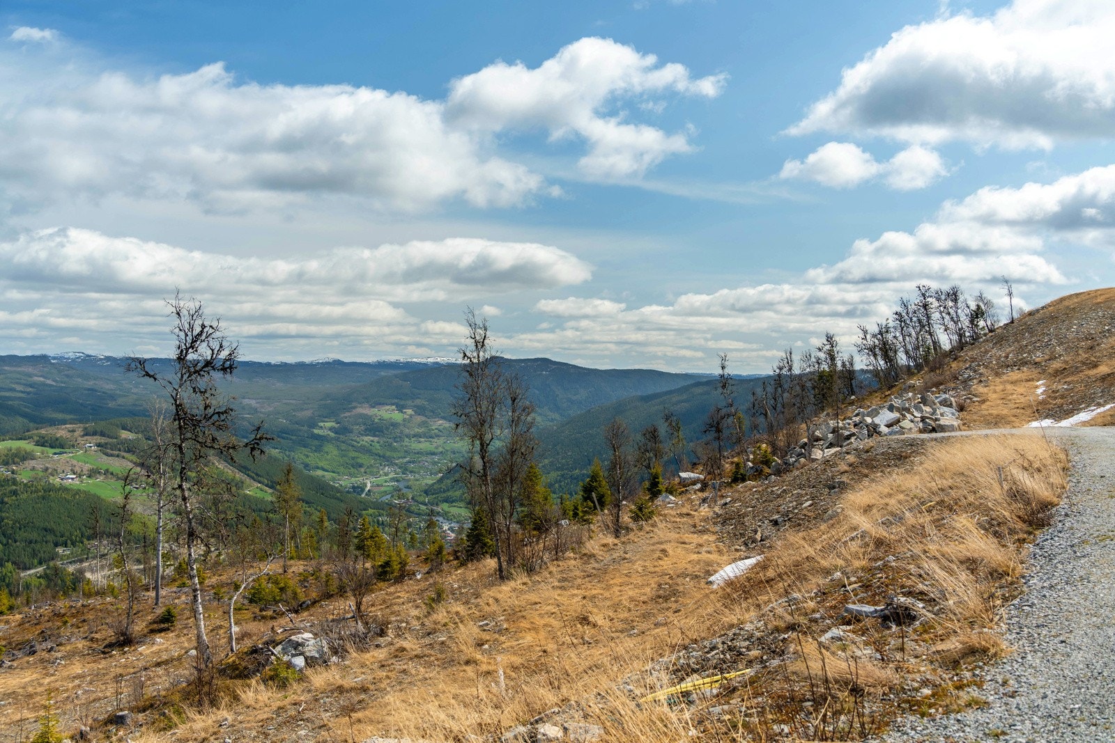 Tomten har vei, vann, avløp, strøm og fiber til tomtegrense Galleribilde
