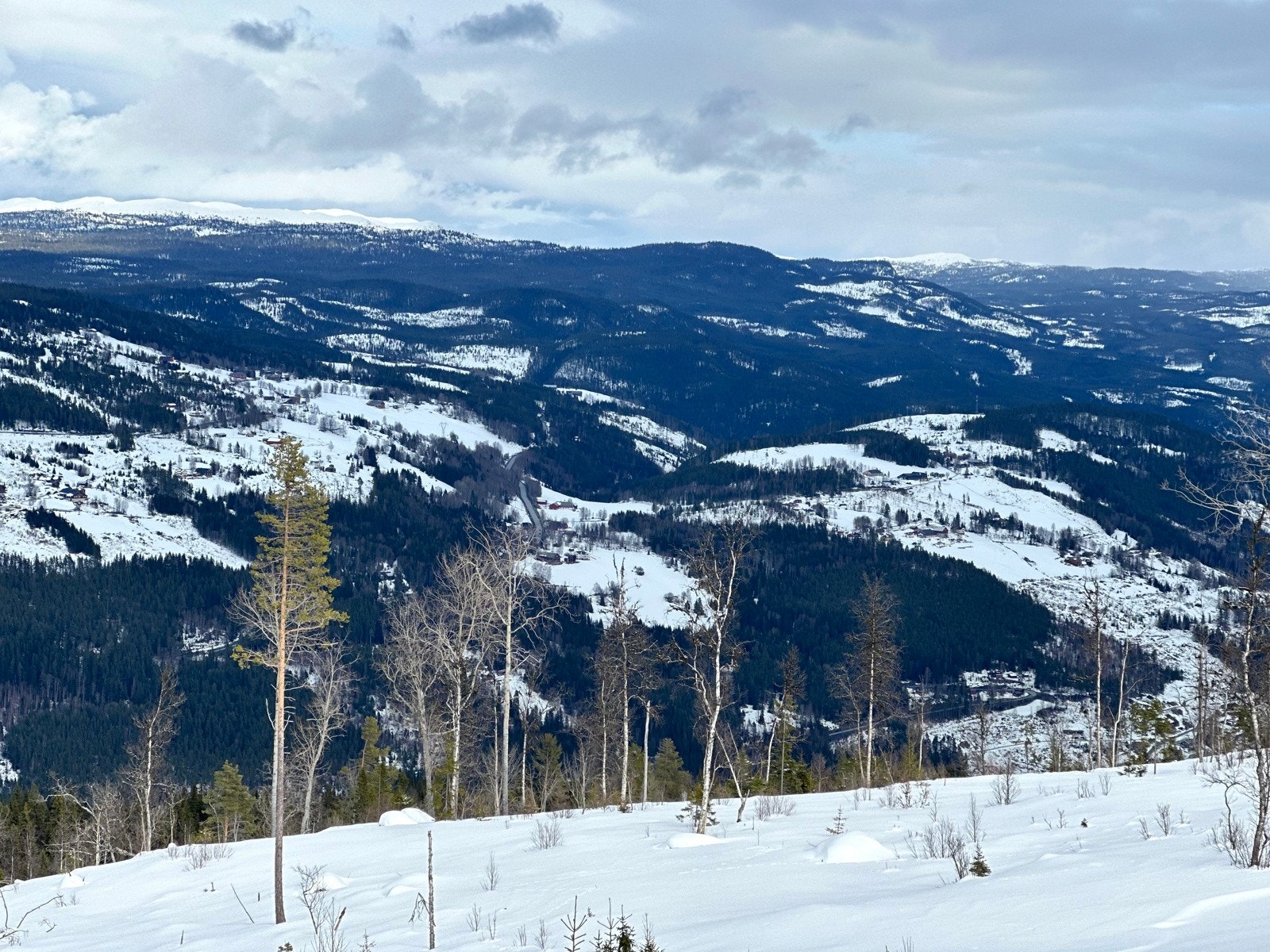 Her er "Ski in, ski out" enten du har slalåmski eller langrennski på beina! Galleribilde