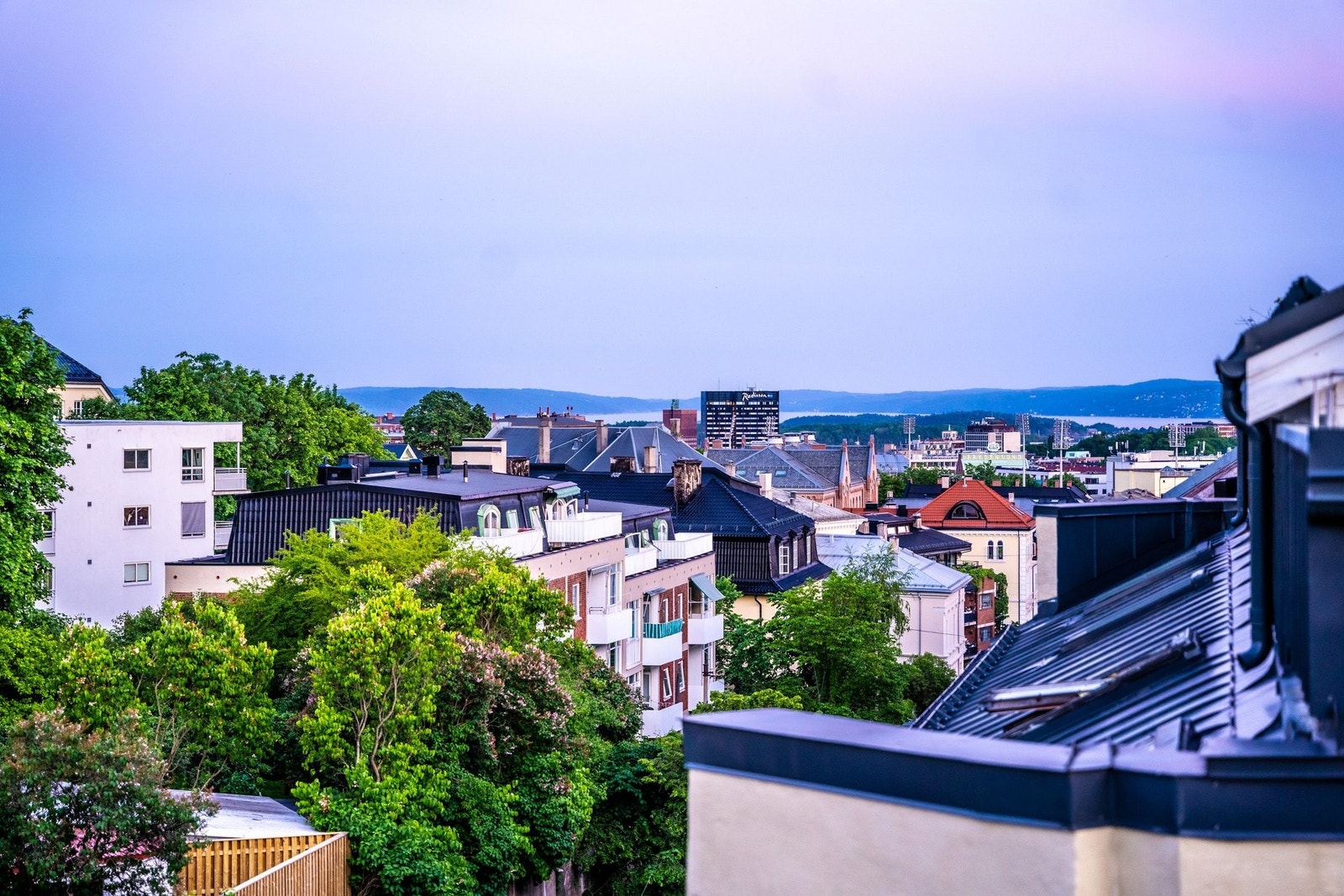 Selgers bilde - sommer Galleribilde