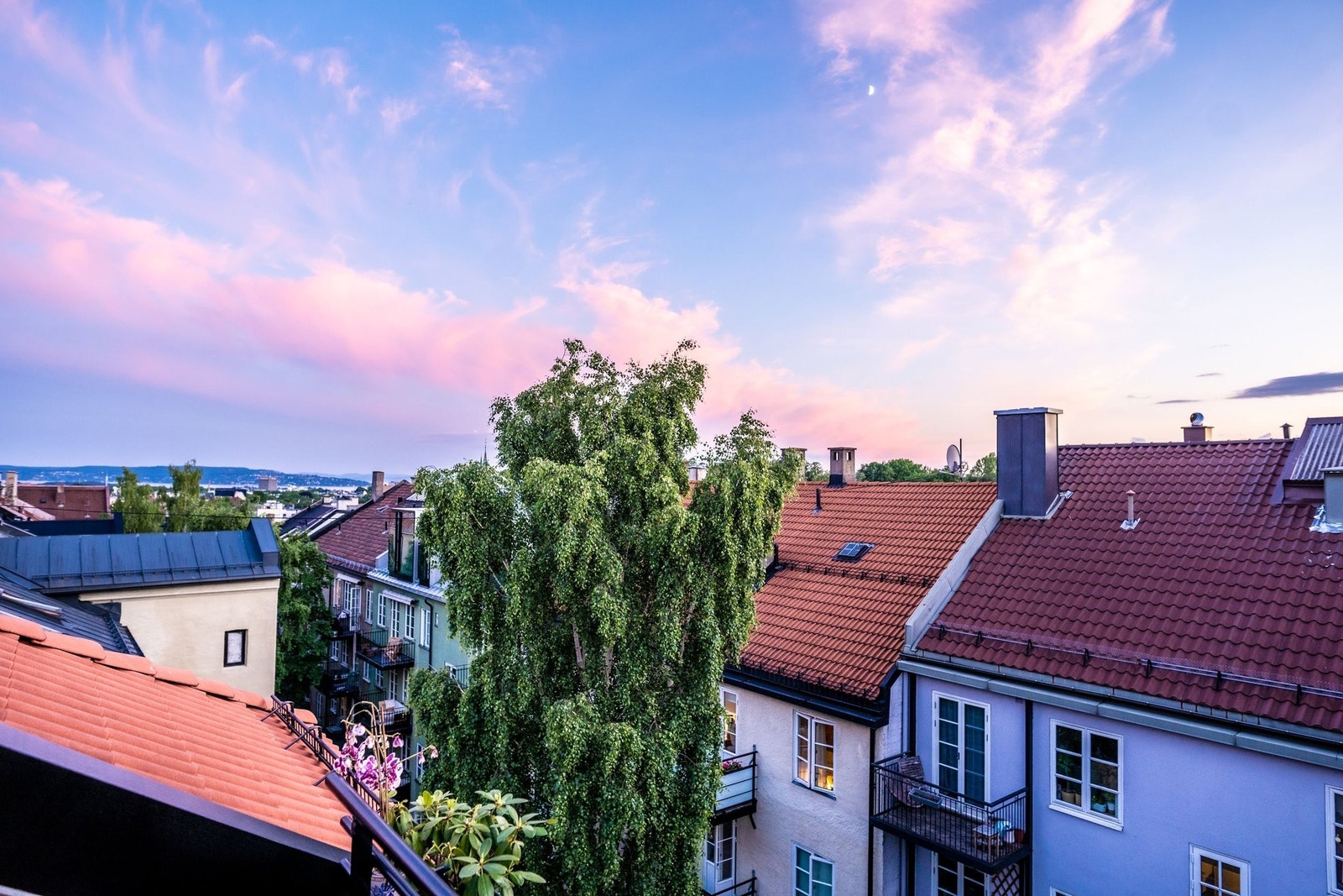 Selgers bilde - sommer Galleribilde