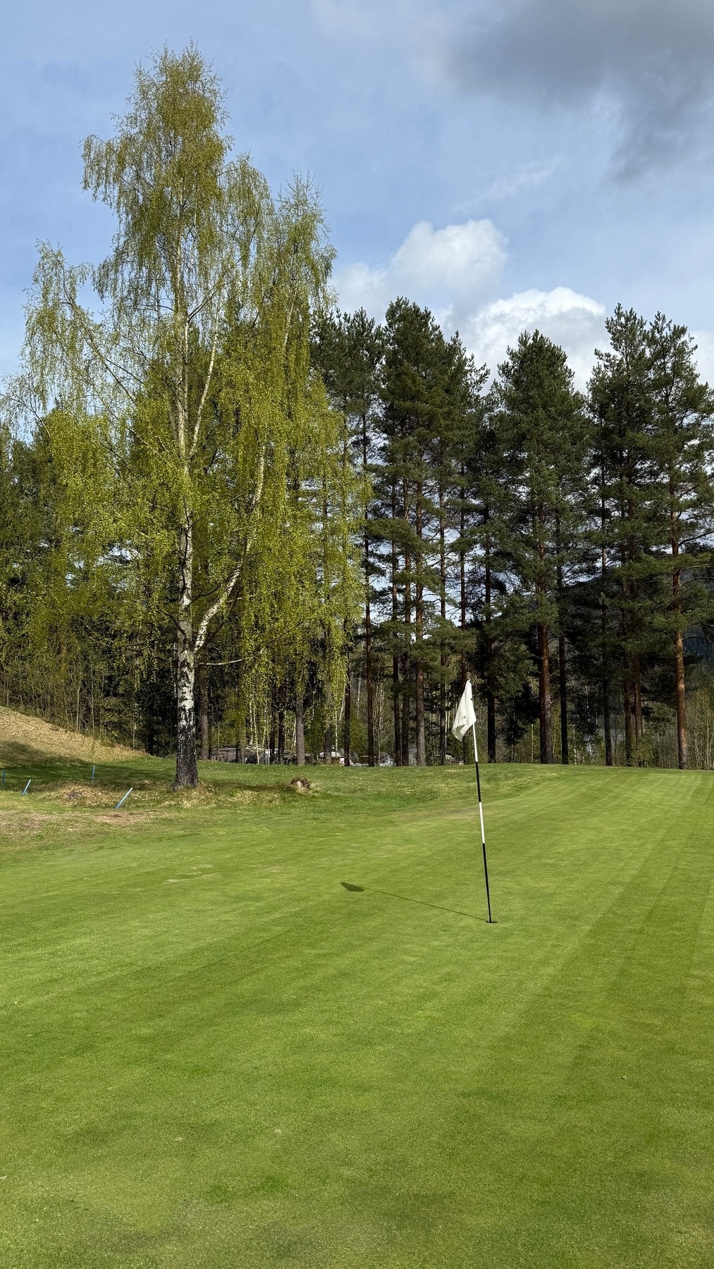 Norefjell har en nydelig golfbane rett i nærheten Galleribilde