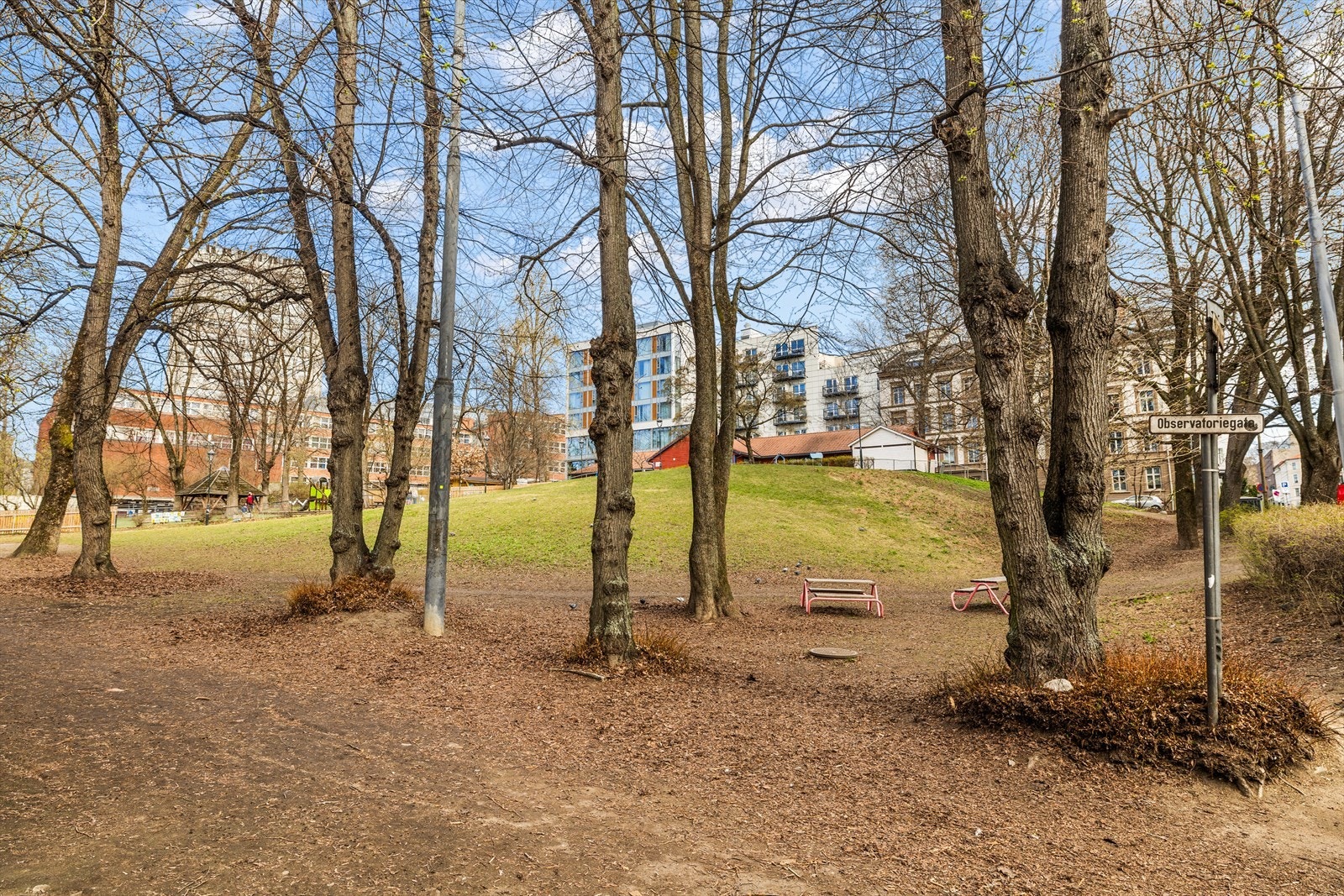 I tillegg er det kort vei til rekreasjonsmuligheter og flotte turområder. Galleribilde