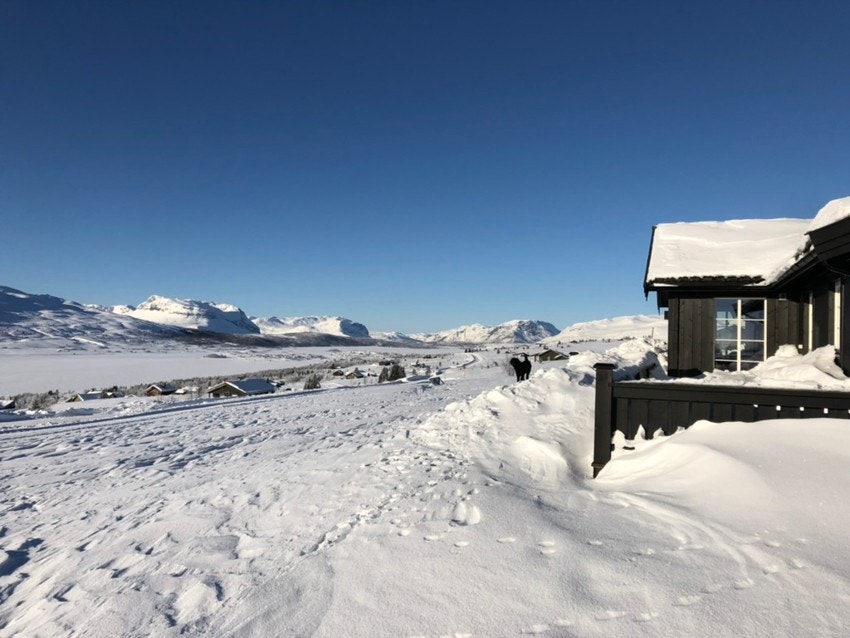 Utsikten strekker seg mot Sydinvannet og mot majestetiske fjell som blant annet Gilafjell, Grønnsenknippa, Grindane, og inn i Jotunheimen. Galleribilde