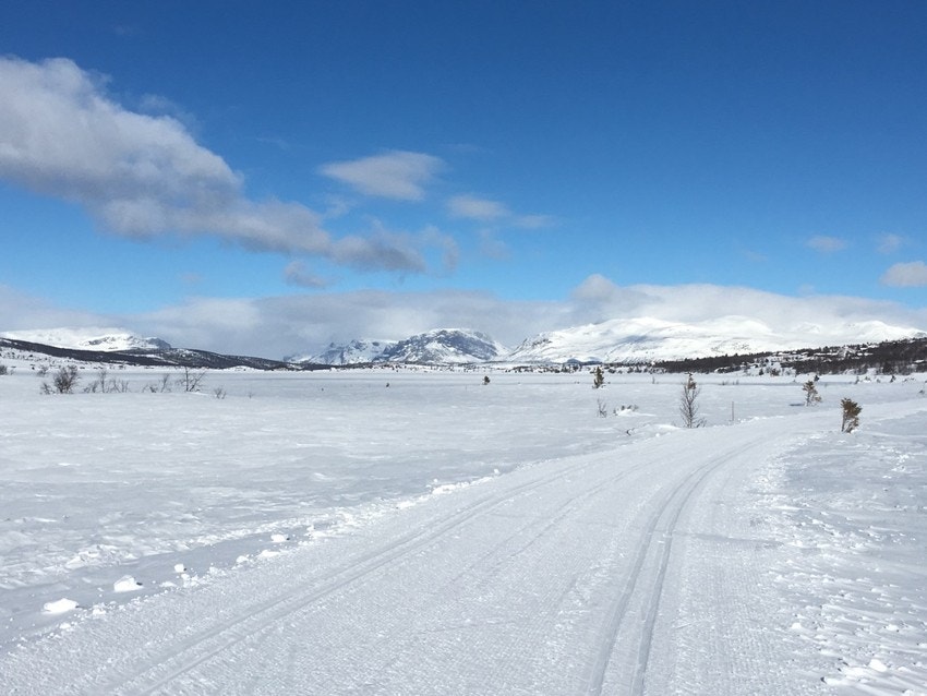Fine skiløyper som starter rett på nedsiden av hytta Galleribilde