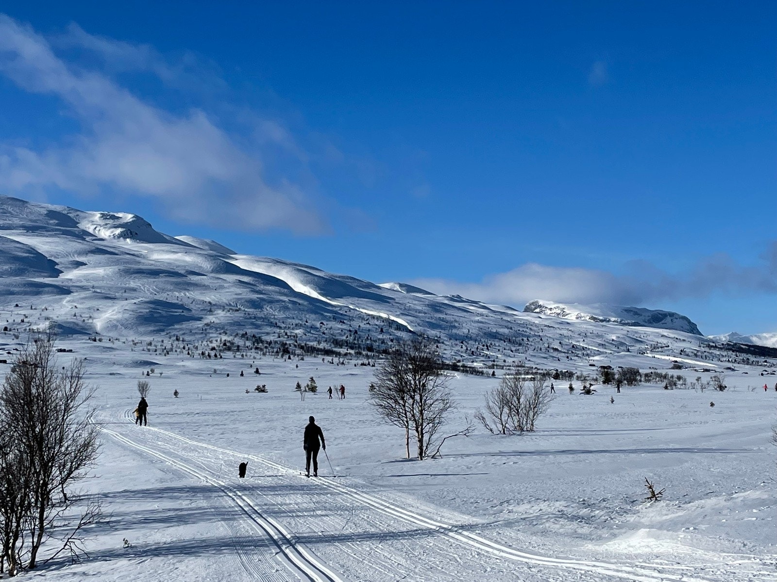 Syndin er kjent for sin ville og vakre natur som kan nytes innenfra gjennom vinduene, fra den romslige terrassen eller ved å bevege seg ut i terrenget på ski, sykkel eller på beina. Galleribilde
