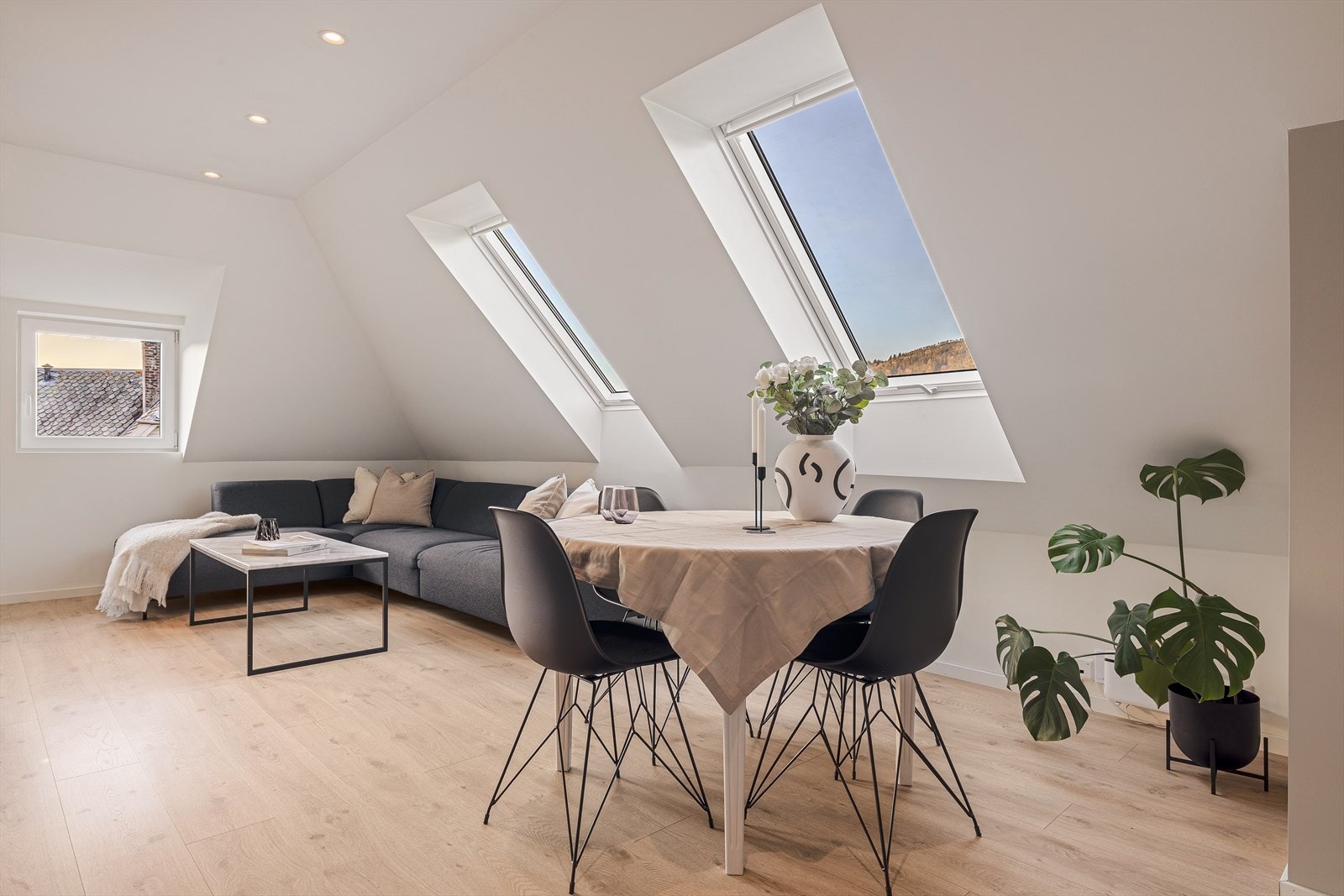 Godt lysinnslipp fra store takvinduer Galleribilde