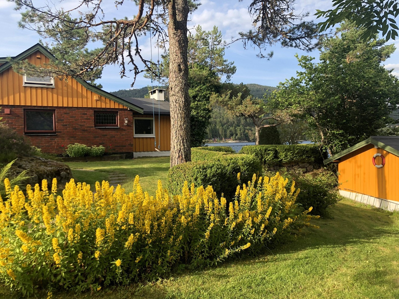 Skjermede uteareal Galleribilde