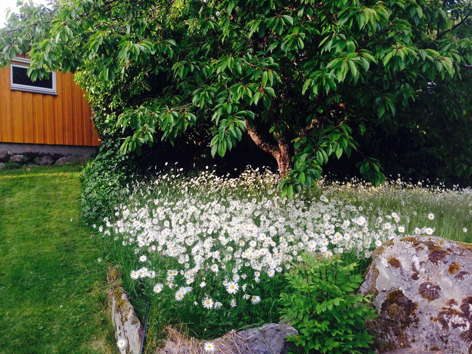 Detalj fra hagen Galleribilde