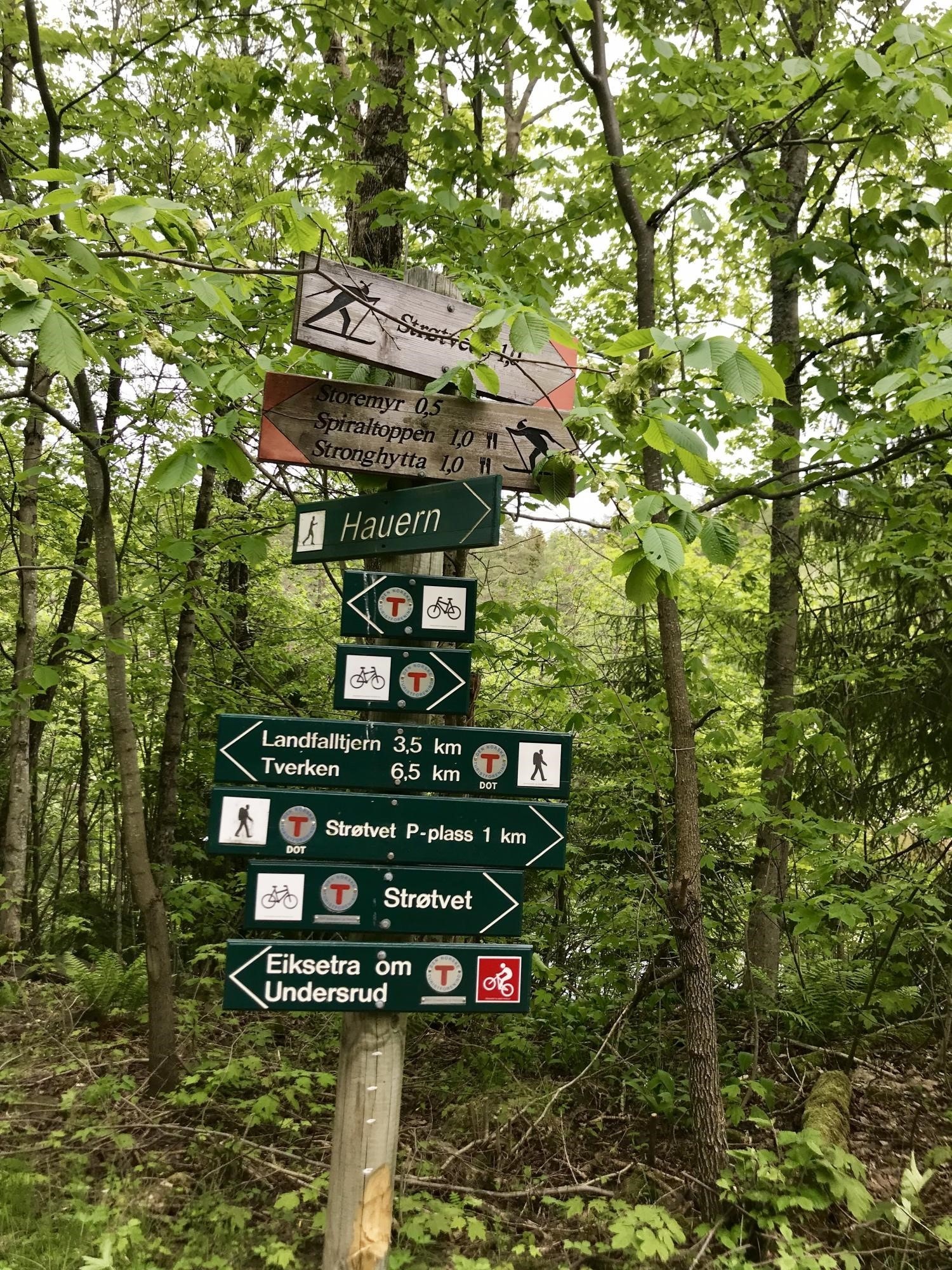 Kun 10-12 minutters gange til Bragernesåsen med et stort turløypenett - både sommer som vinter Galleribilde