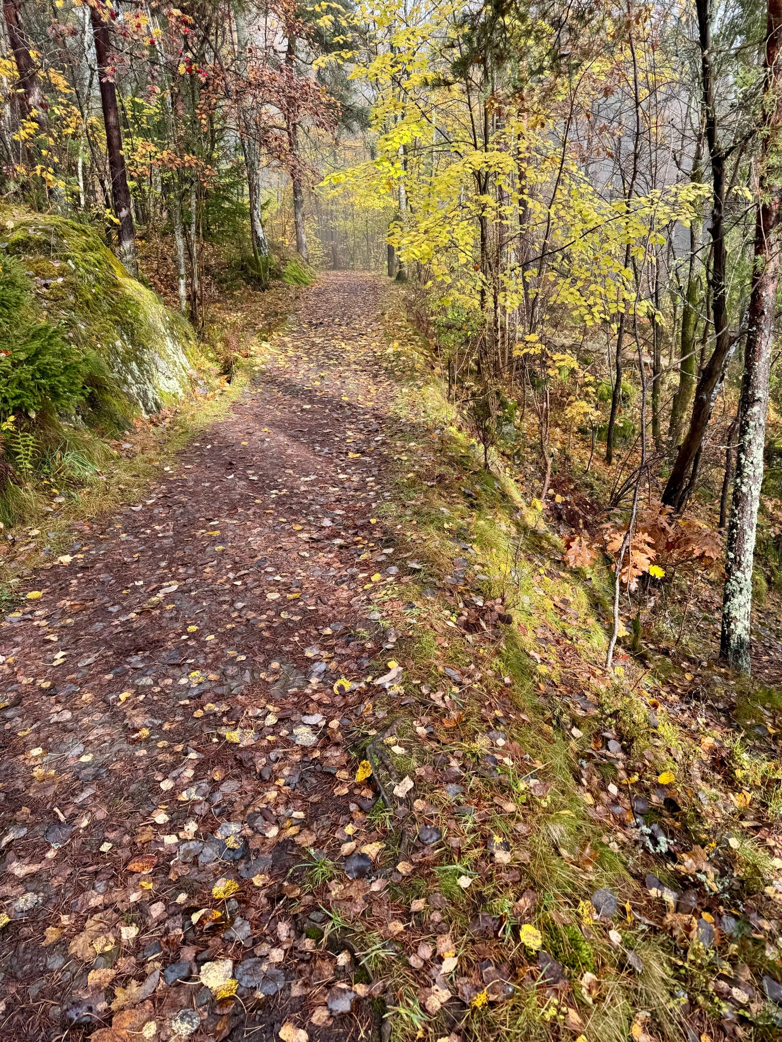 Vakre turstier i Bragernesåsen med utfartssteder som blant annet Åspaviljongen og Spiralen Galleribilde