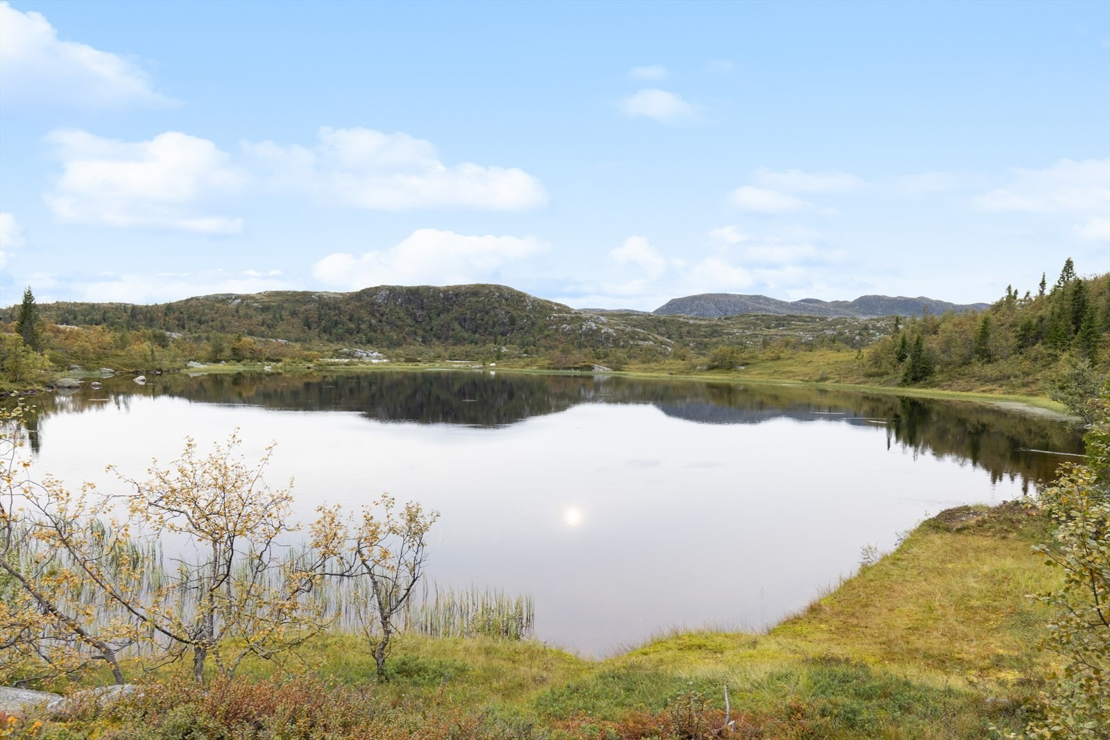 Vakre Istjenn er en av de nærmeste naboene. Galleribilde