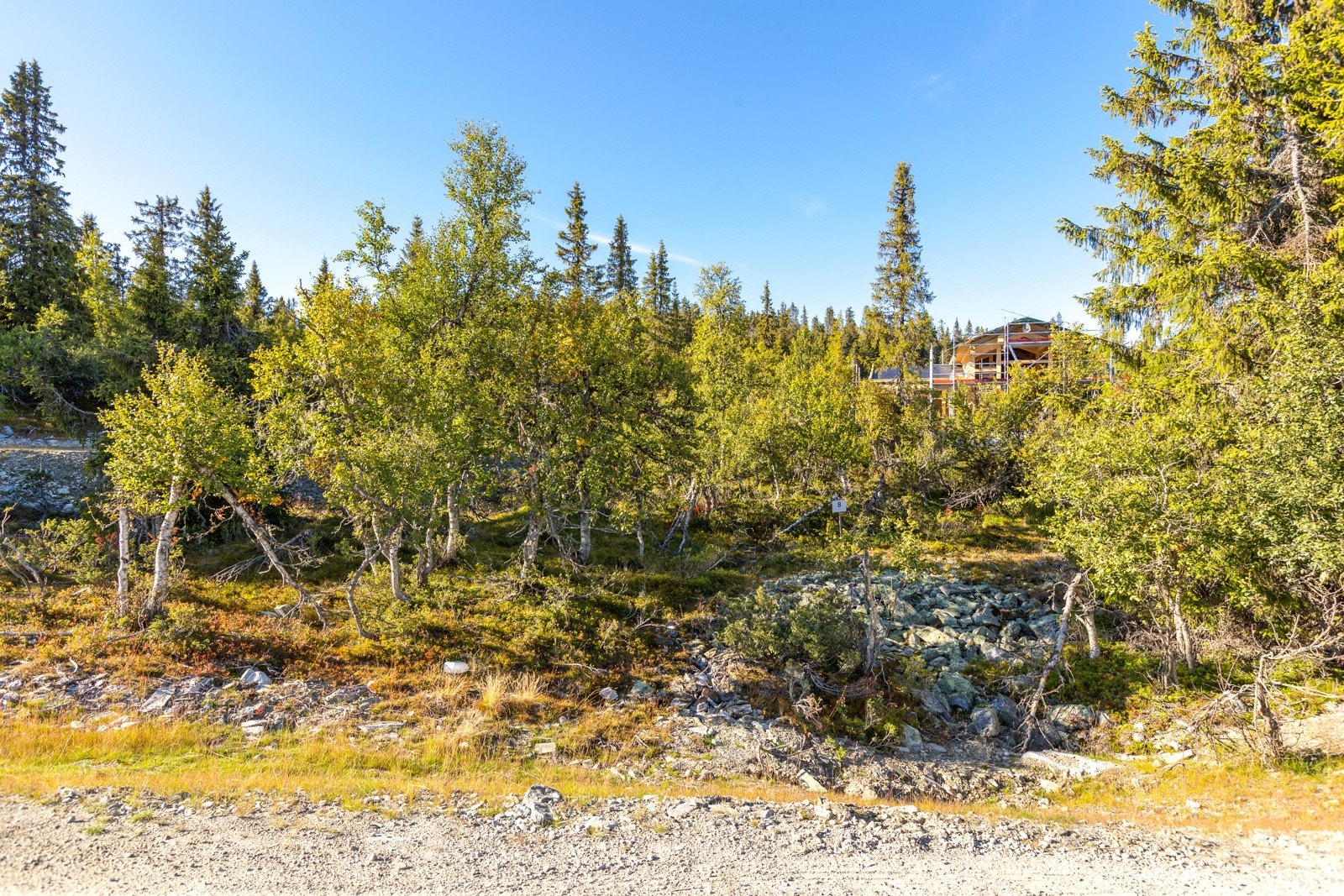 Svartskardvegen 52 (2) Galleribilde