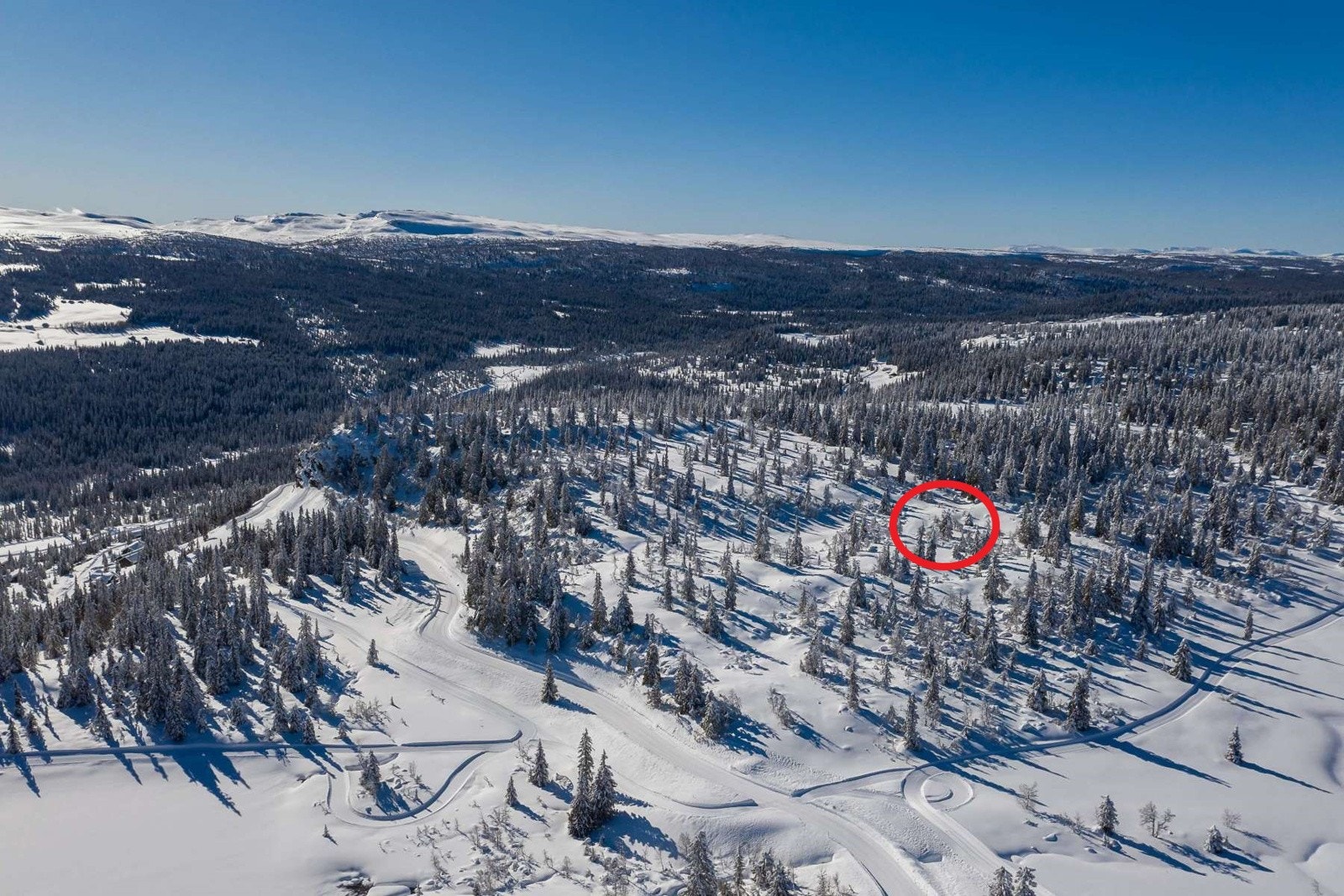 KvitfjellVest_H1-Kvitfjelltoppen_tomt 8 markert Galleribilde