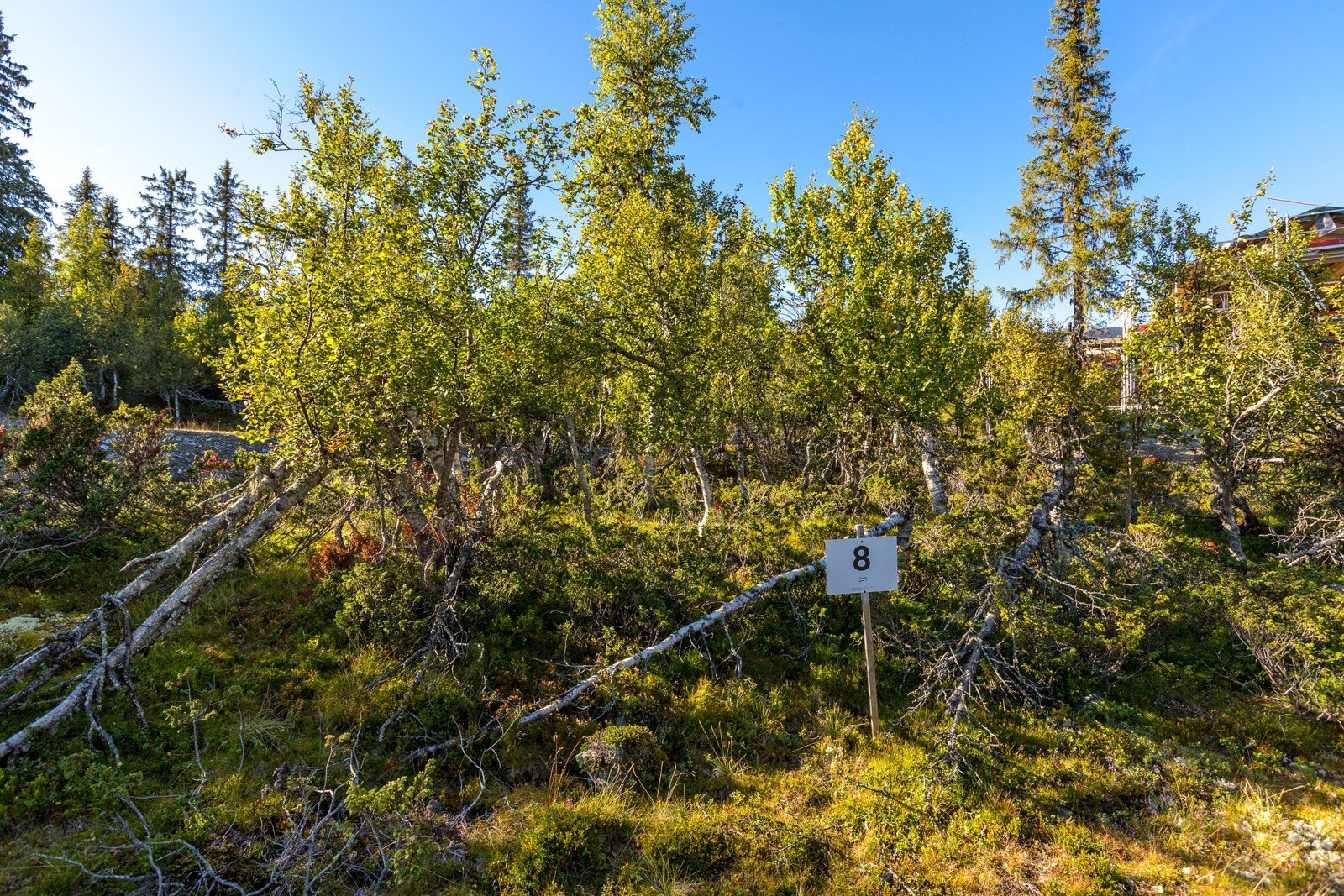 Svartskardvegen 52 (1) Galleribilde