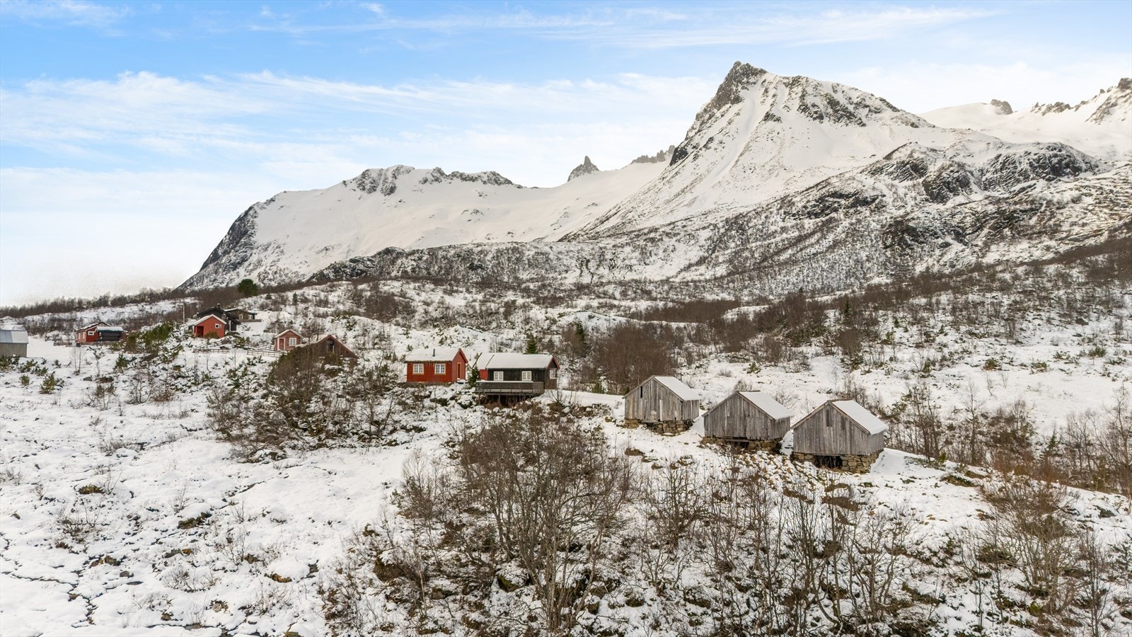 Sel oppe på Standalseidet Galleribilde