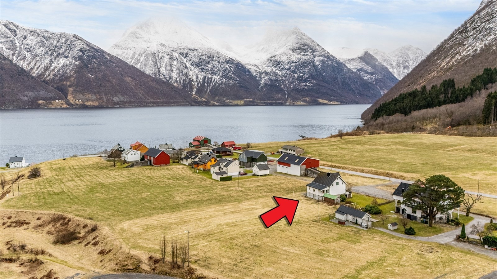 Nærområde Galleribilde