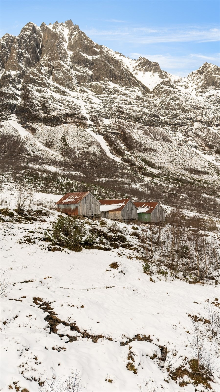 Sel oppe på Standalseidet Galleribilde