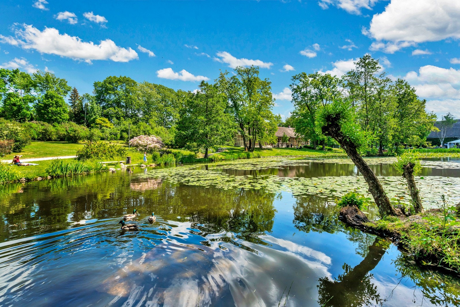 Nærområdet byr på flere flotte tur og rekresjons områder. Galleribilde