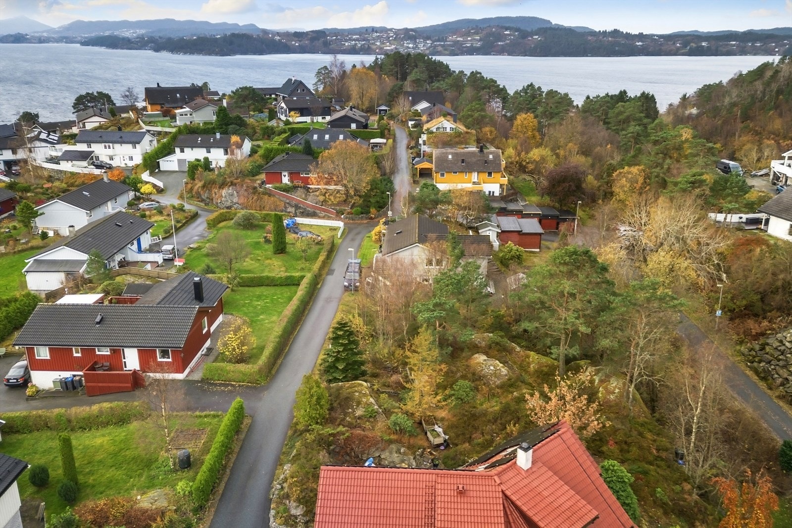 Velkommen til en hyggelig visning! Galleribilde