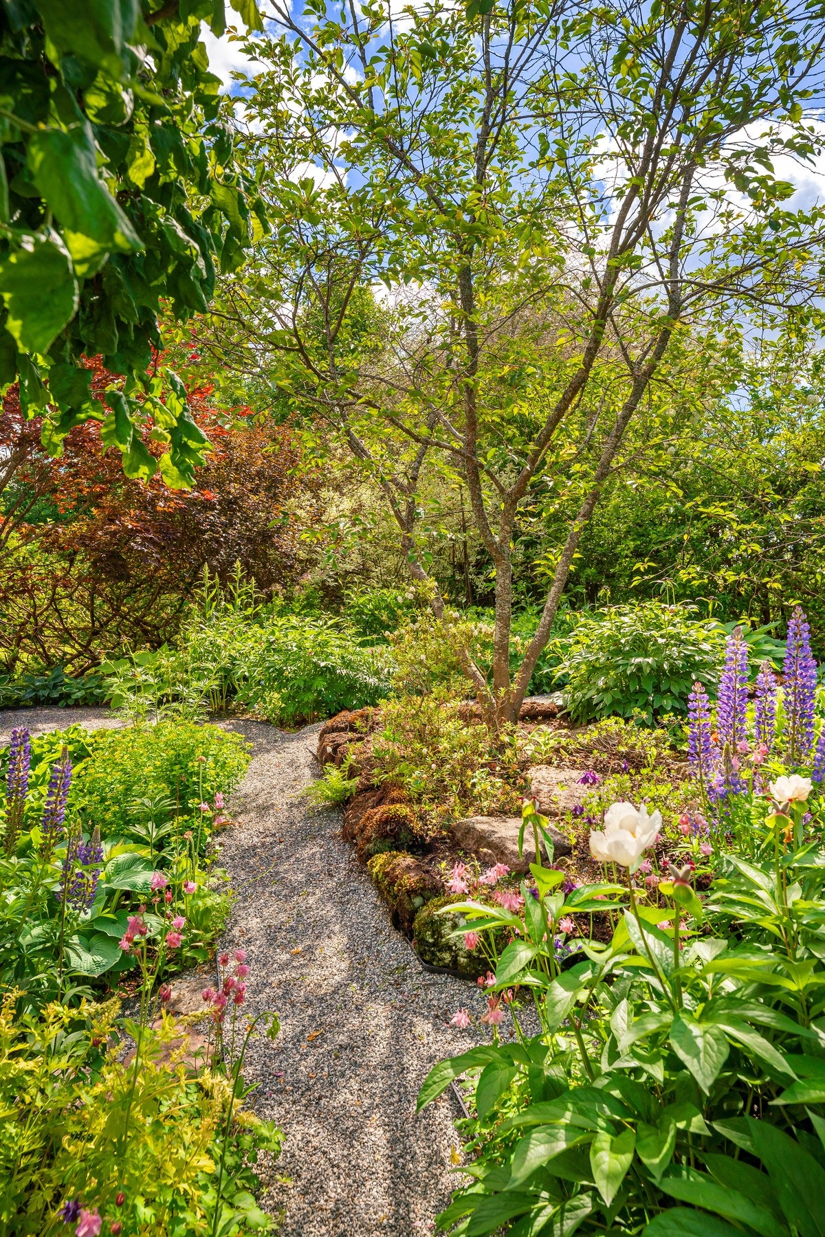 Uteområde. Galleribilde