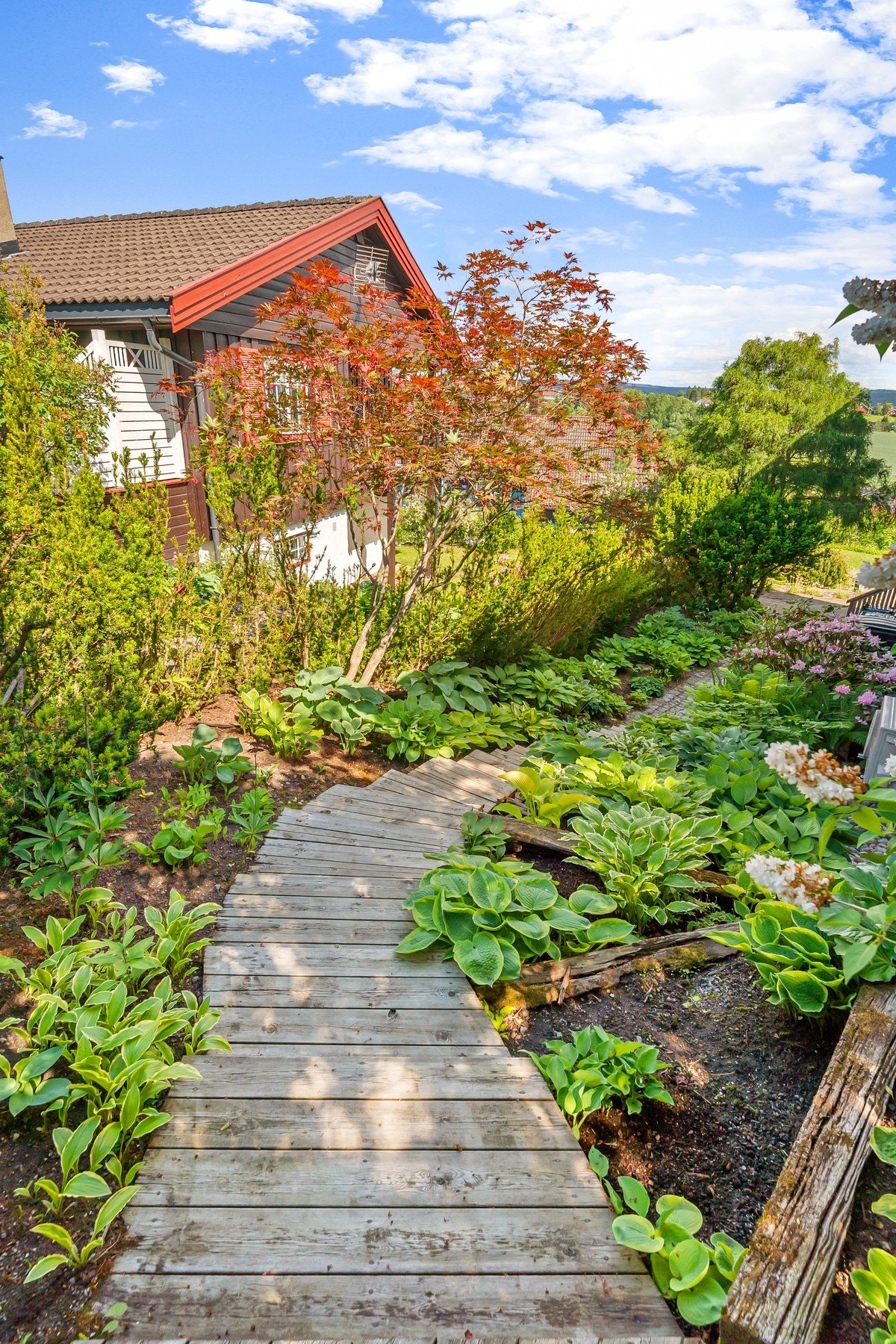 Uteområde. Galleribilde