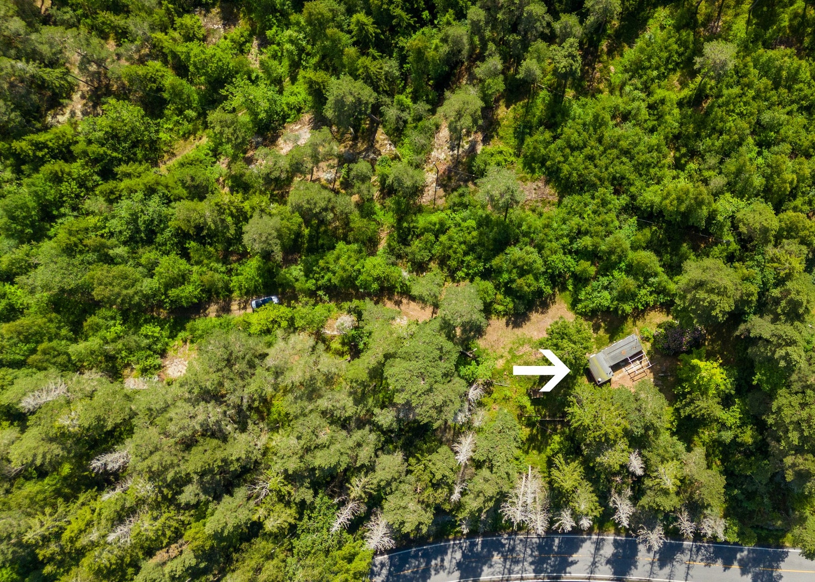 Til Sannebo er det vei helt frem Galleribilde