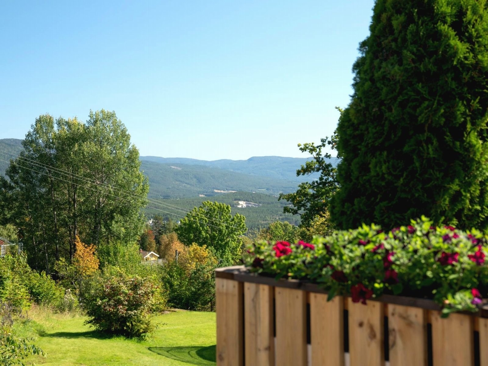 Flotte utsiktsforhold Galleribilde