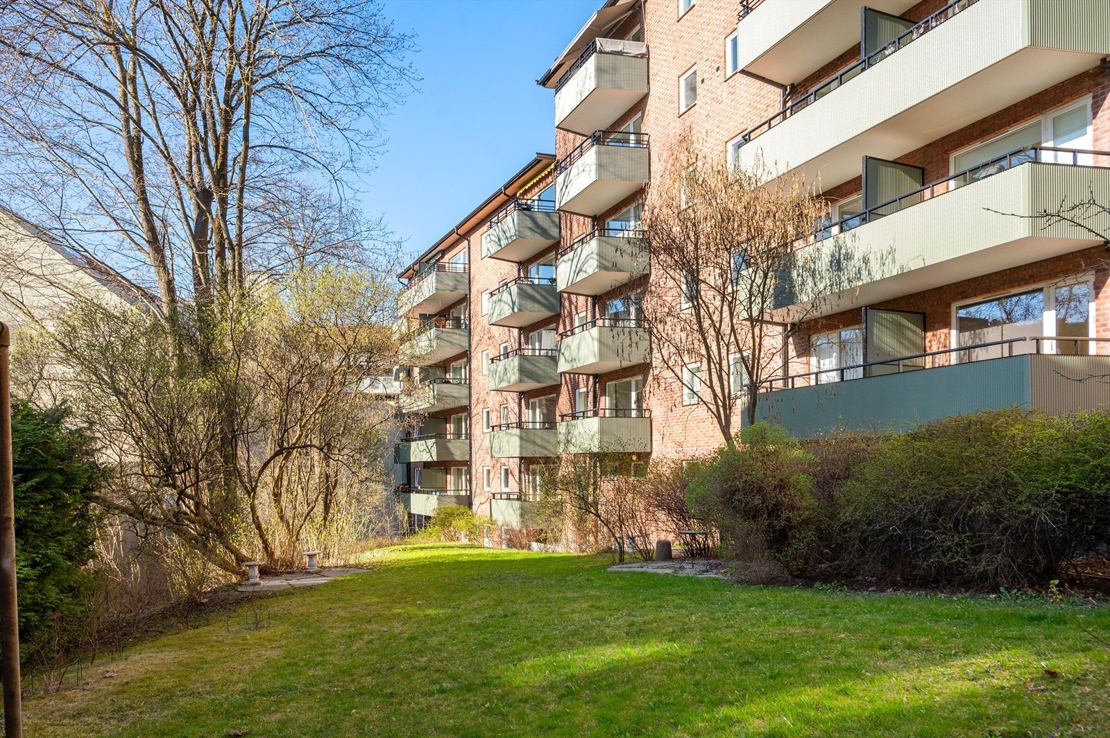 Bakhage Galleribilde