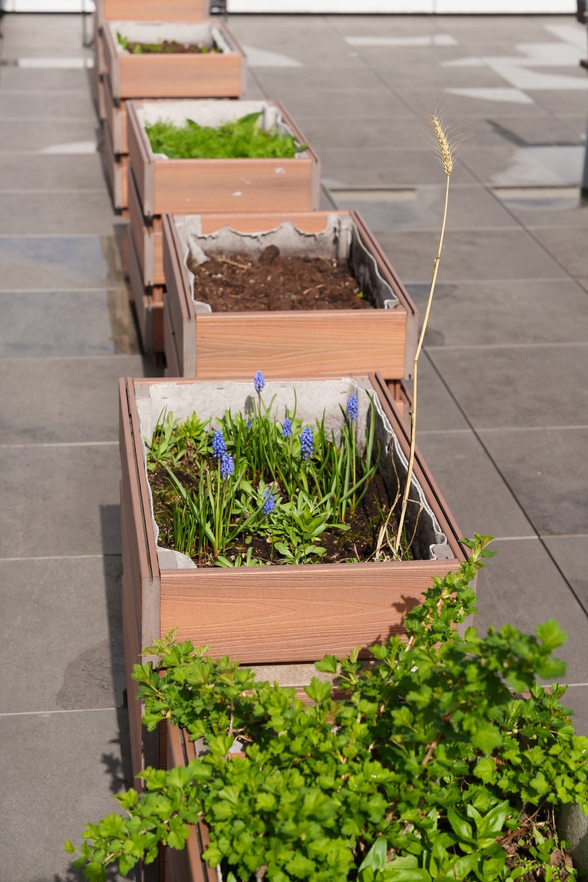 På takterrassen er det plantekasser og sittegrupper. Galleribilde
