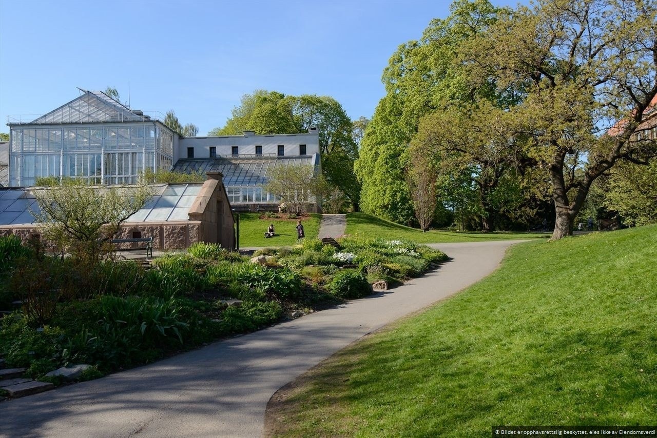 Botanisk hage byr på fantastisk opplevelse av natur og de ulike årstidene Galleribilde