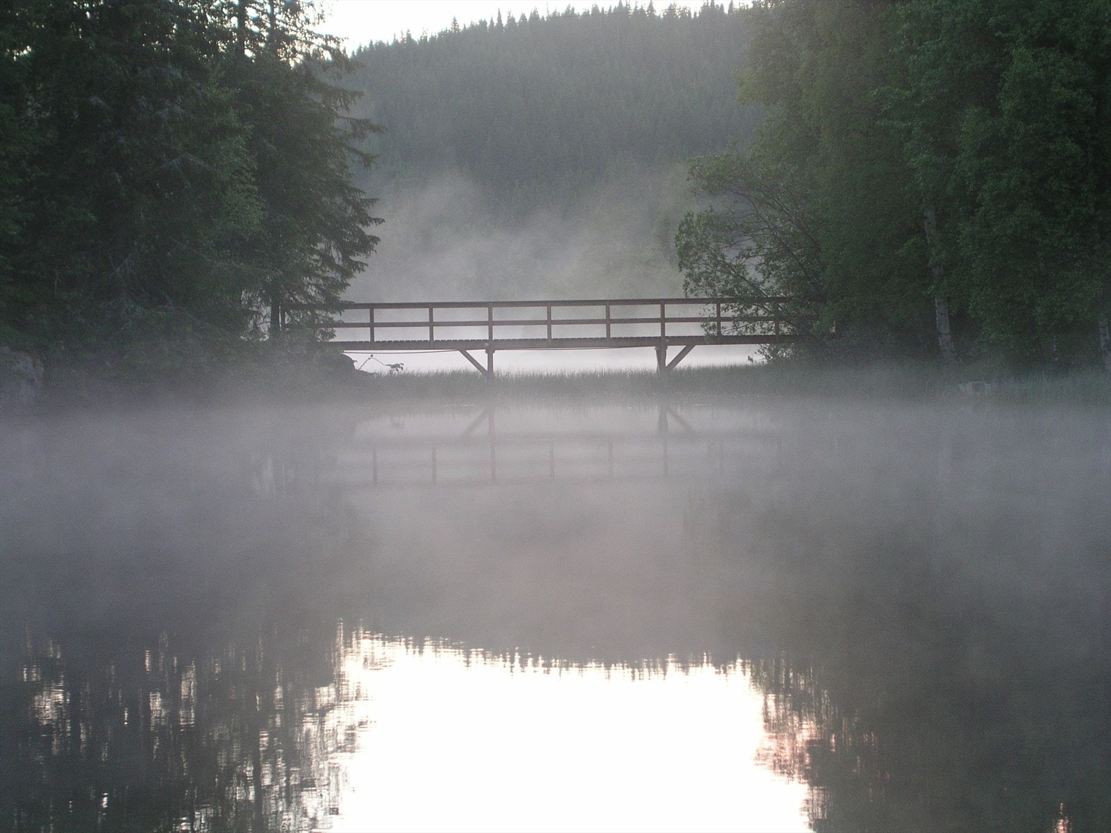 Selgers egne bilder Galleribilde