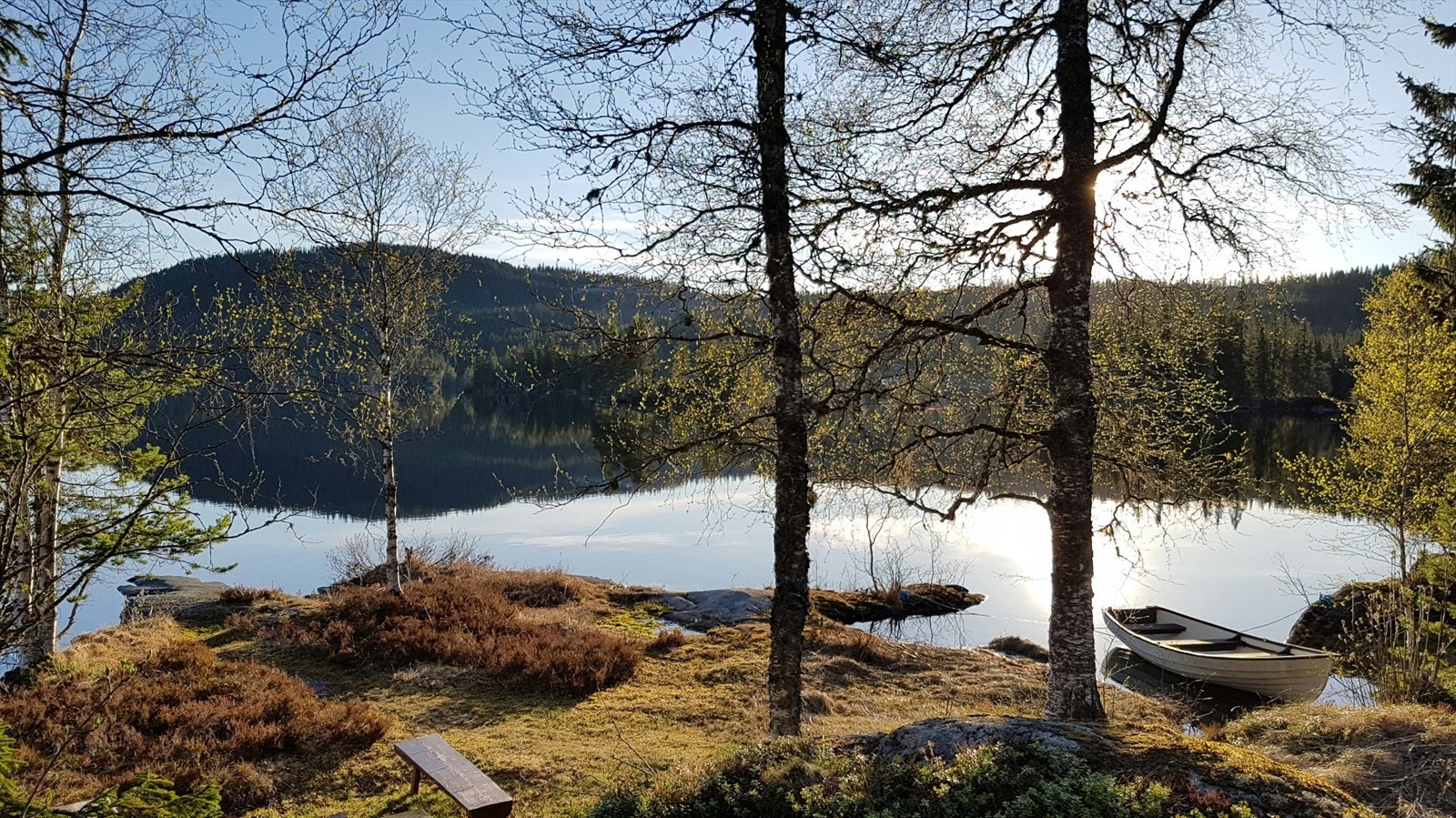 Selgers egne bilder Galleribilde