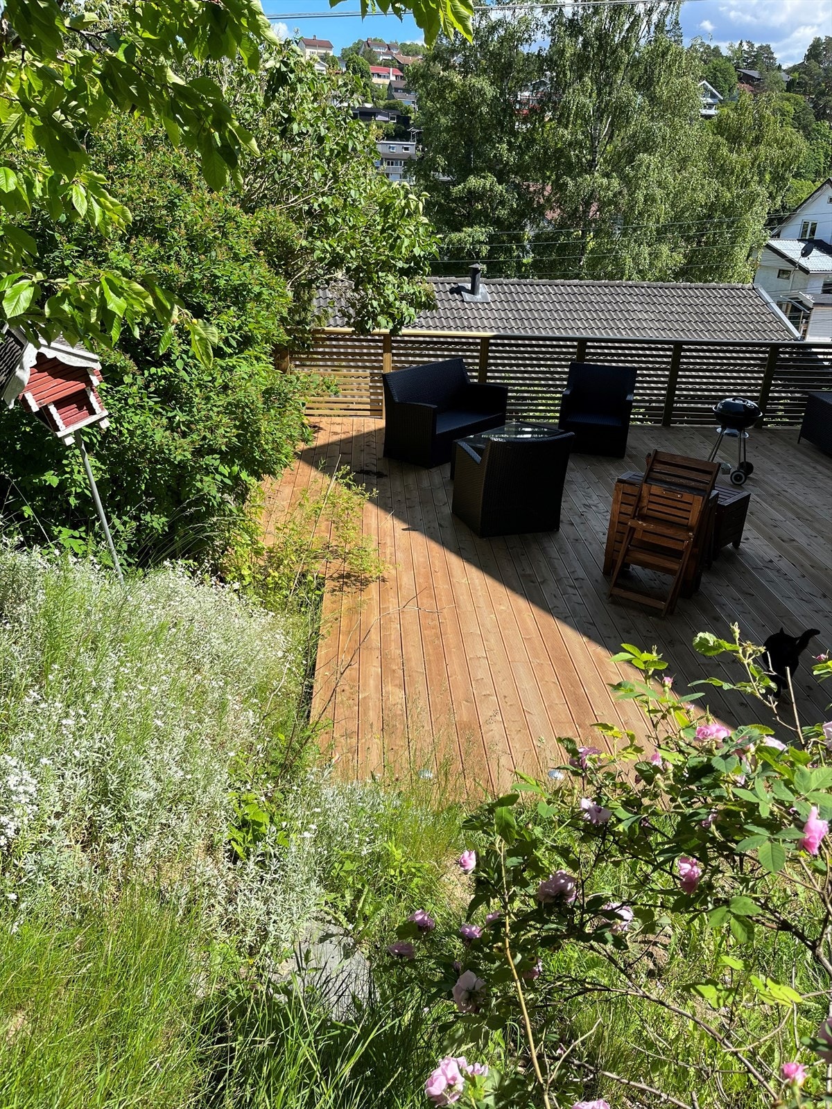 Selgers egne sommerbilde Galleribilde