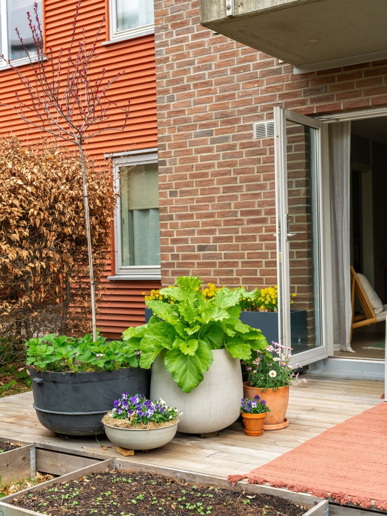 Plantekassene er plassert på borettslagets felles tomt, og gir spiselige vekster gjennom sommerhalvåret. Galleribilde