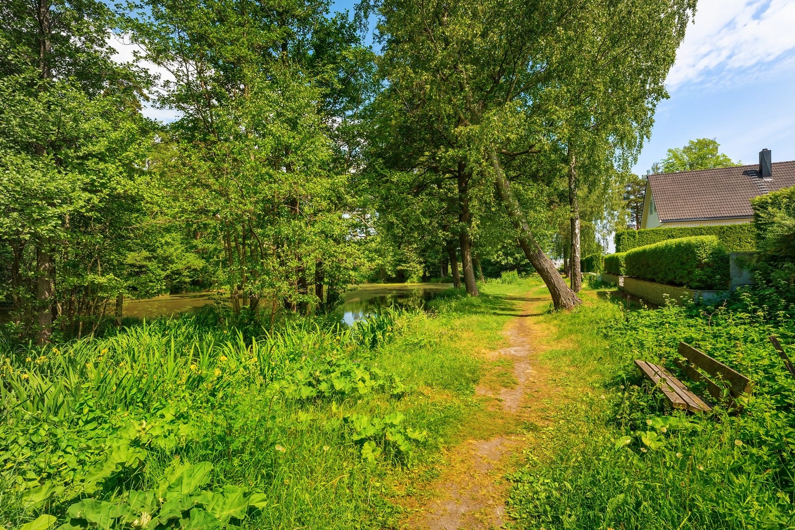 Nærområdet. Galleribilde