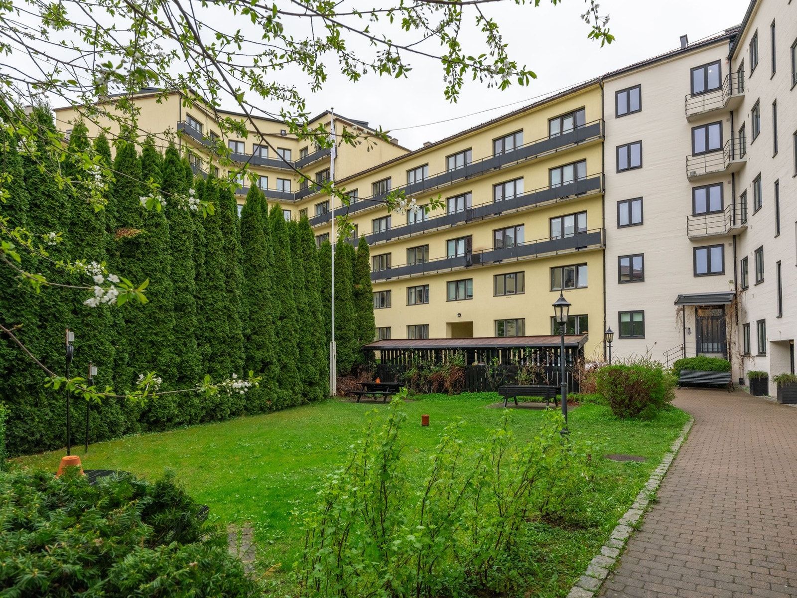 Flott, felles bakgård med sittegrupper og plen. Galleribilde