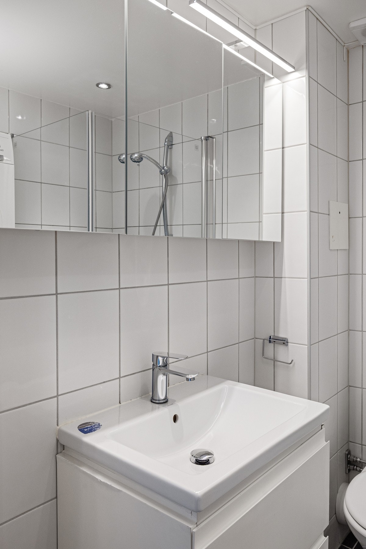 Ekstra oppbevaringsplass i praktisk speilskap. Galleribilde