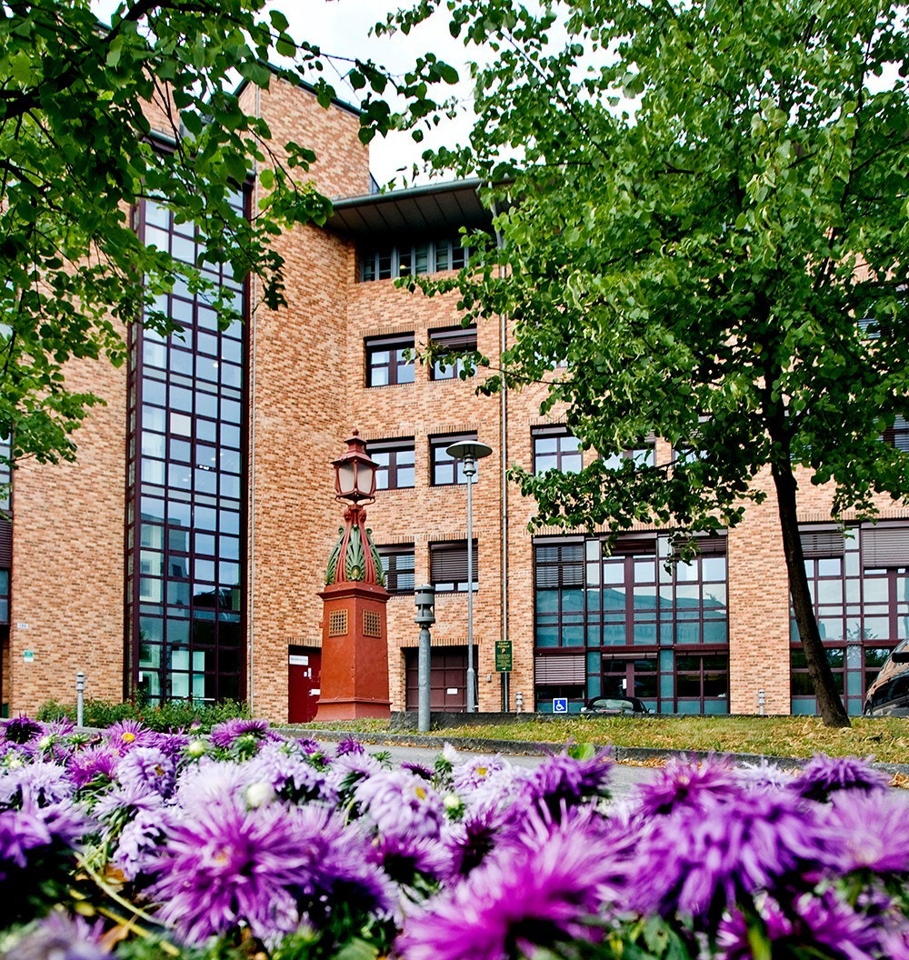 Fin beplanting rundt eiendommen. Galleribilde