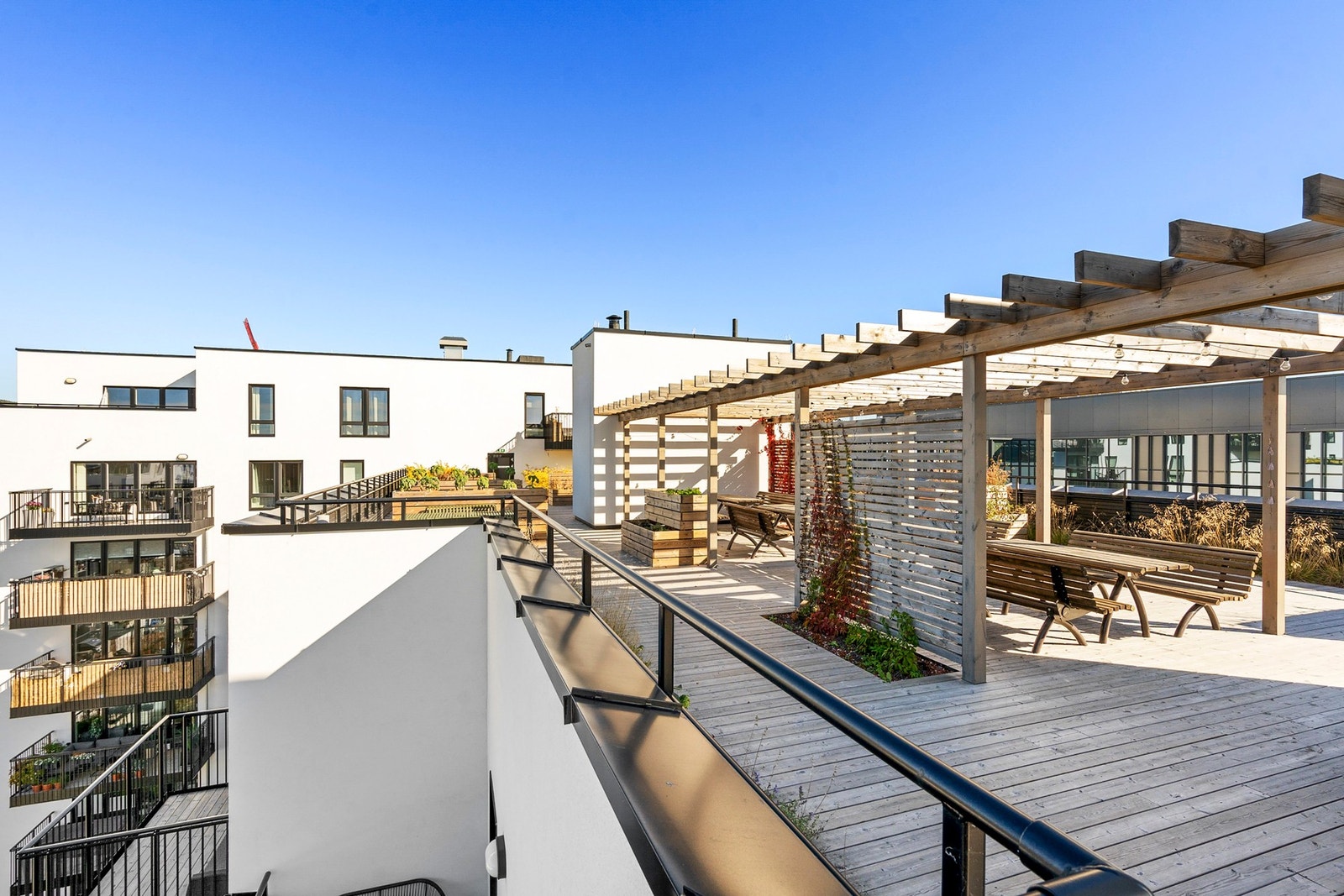 Den felles takterrassen i borettslaget er godt utbygd med pergola, forskjellige sittegrupper og plen. Galleribilde