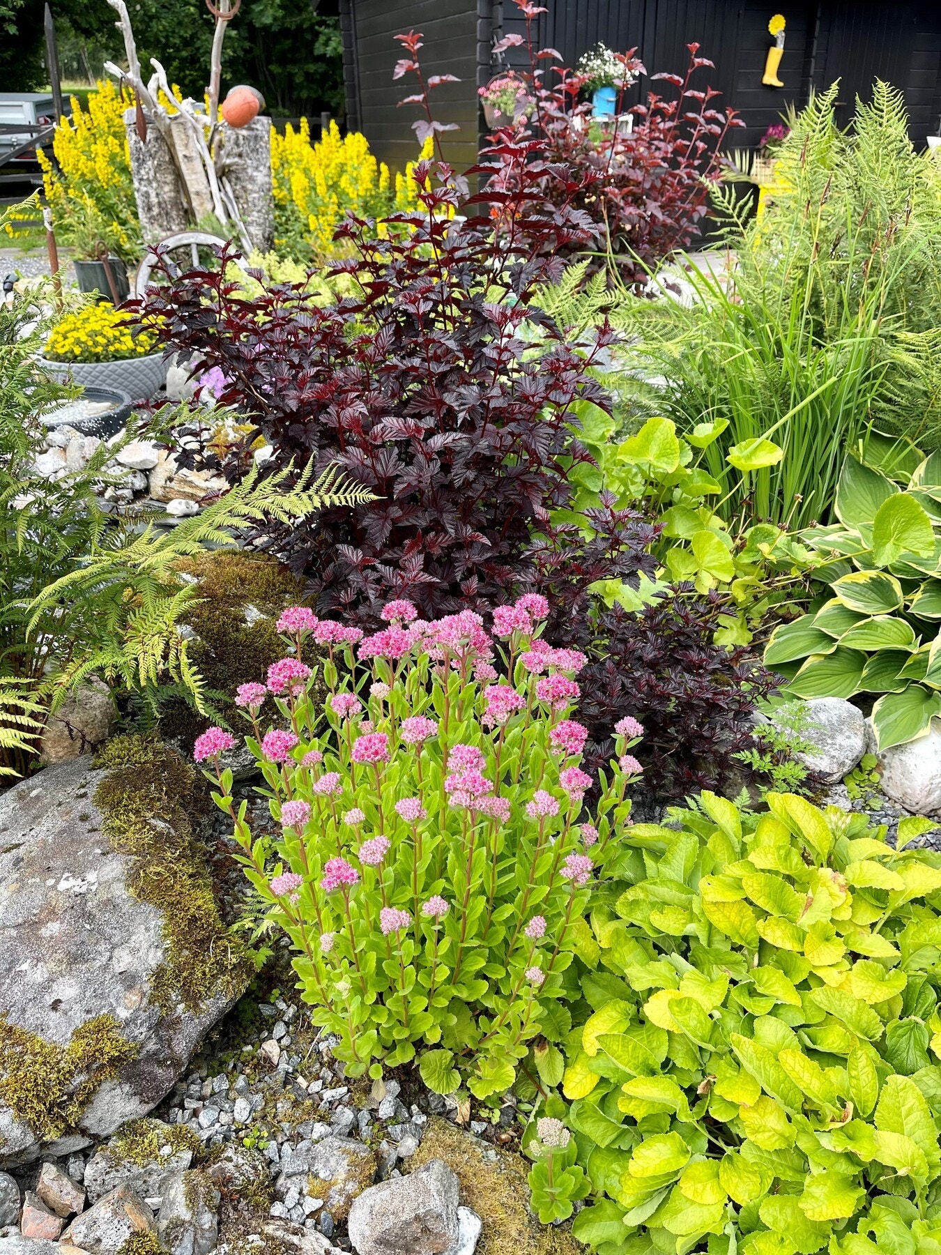 Selgers egne bilder Galleribilde