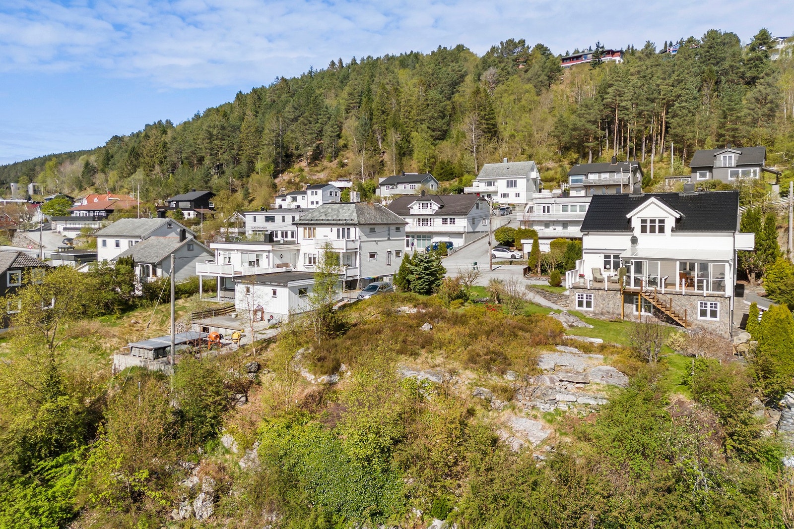 Her er stor nok plass til å beplante ytterligere, eller man kan velge å beholde berg og blåbærlyng på den sydligste delen av tomten. Galleribilde