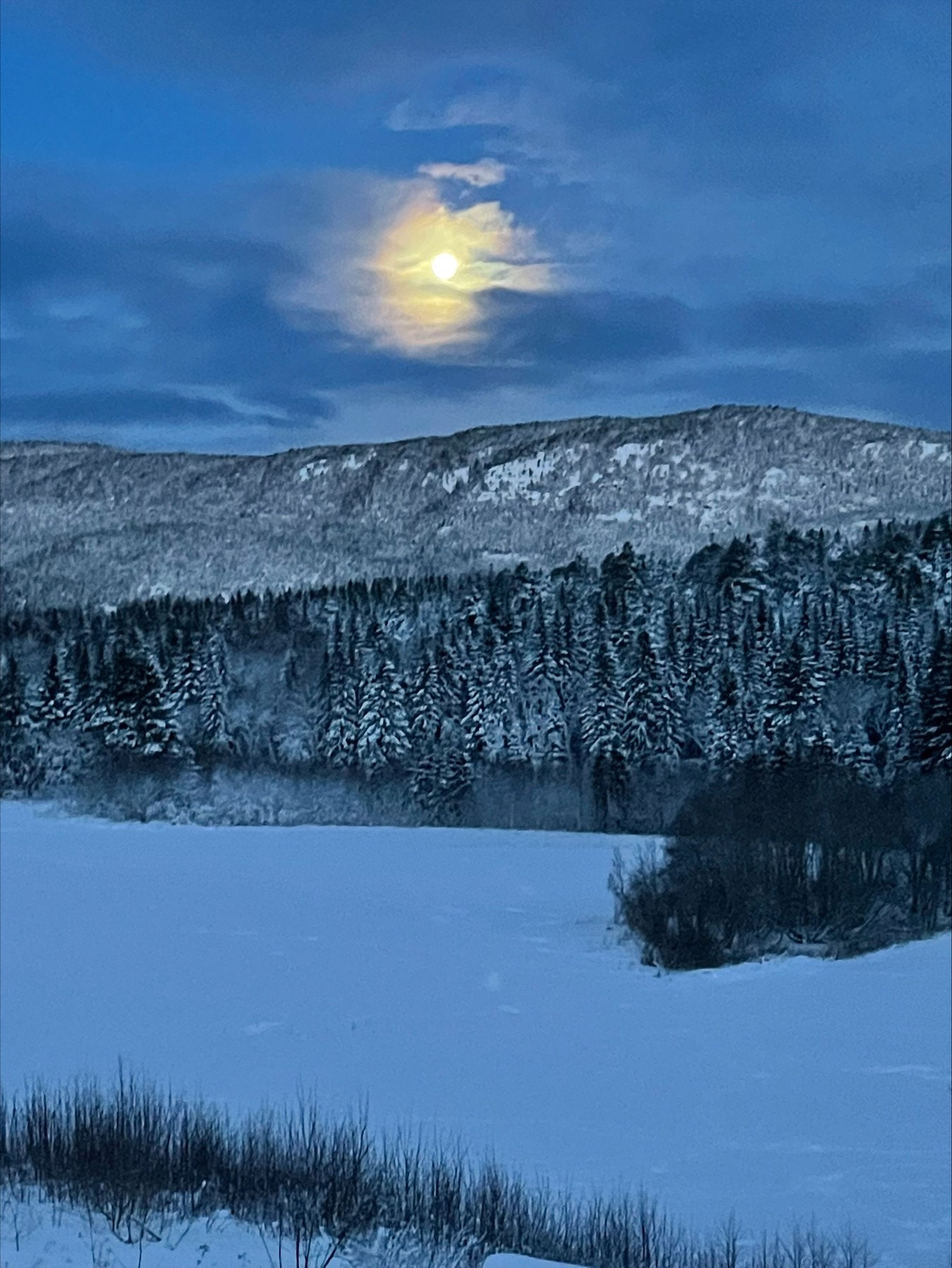 Privat bilde fra selger. Galleribilde