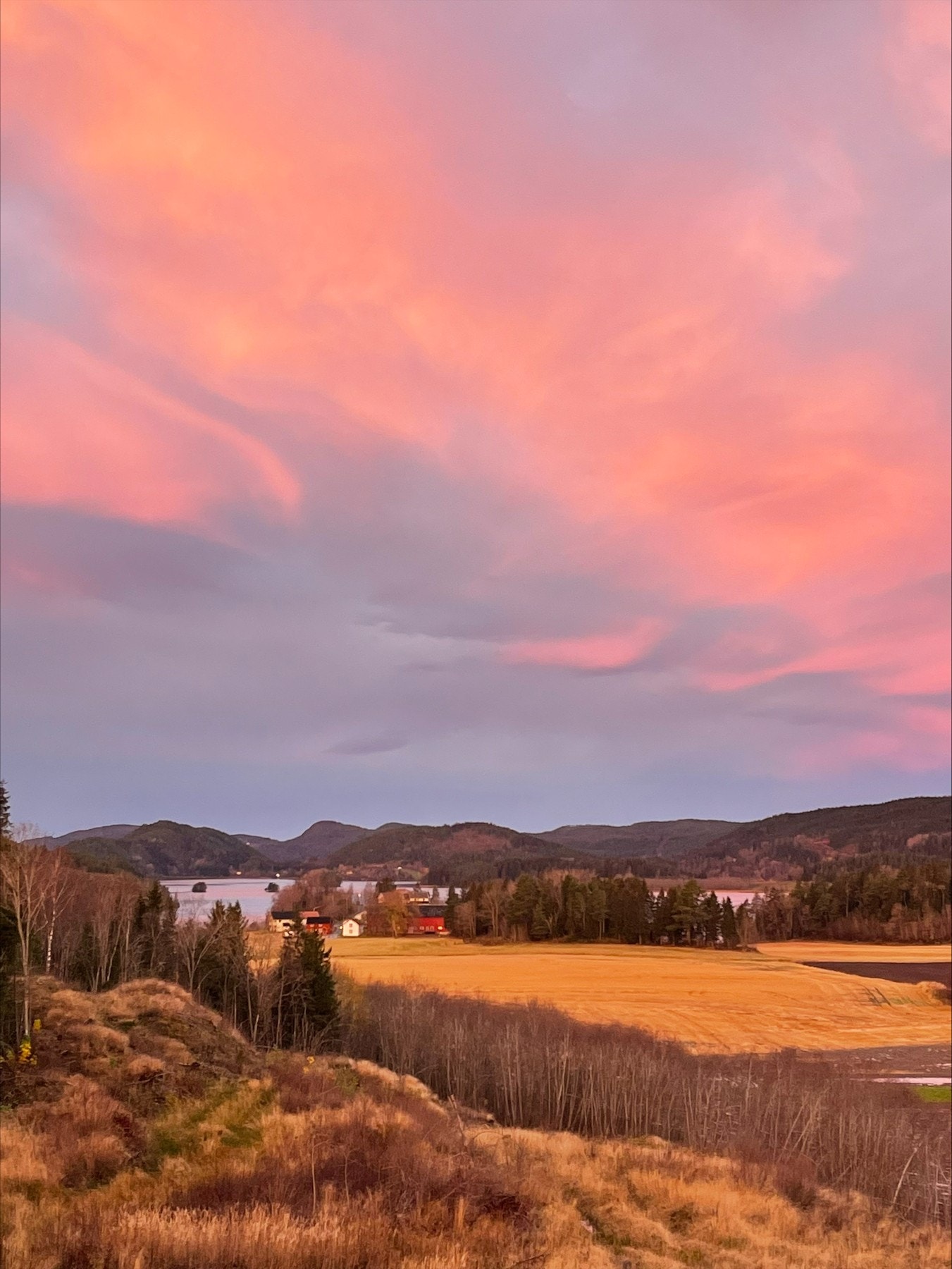 Privat bilde fra selger. Galleribilde