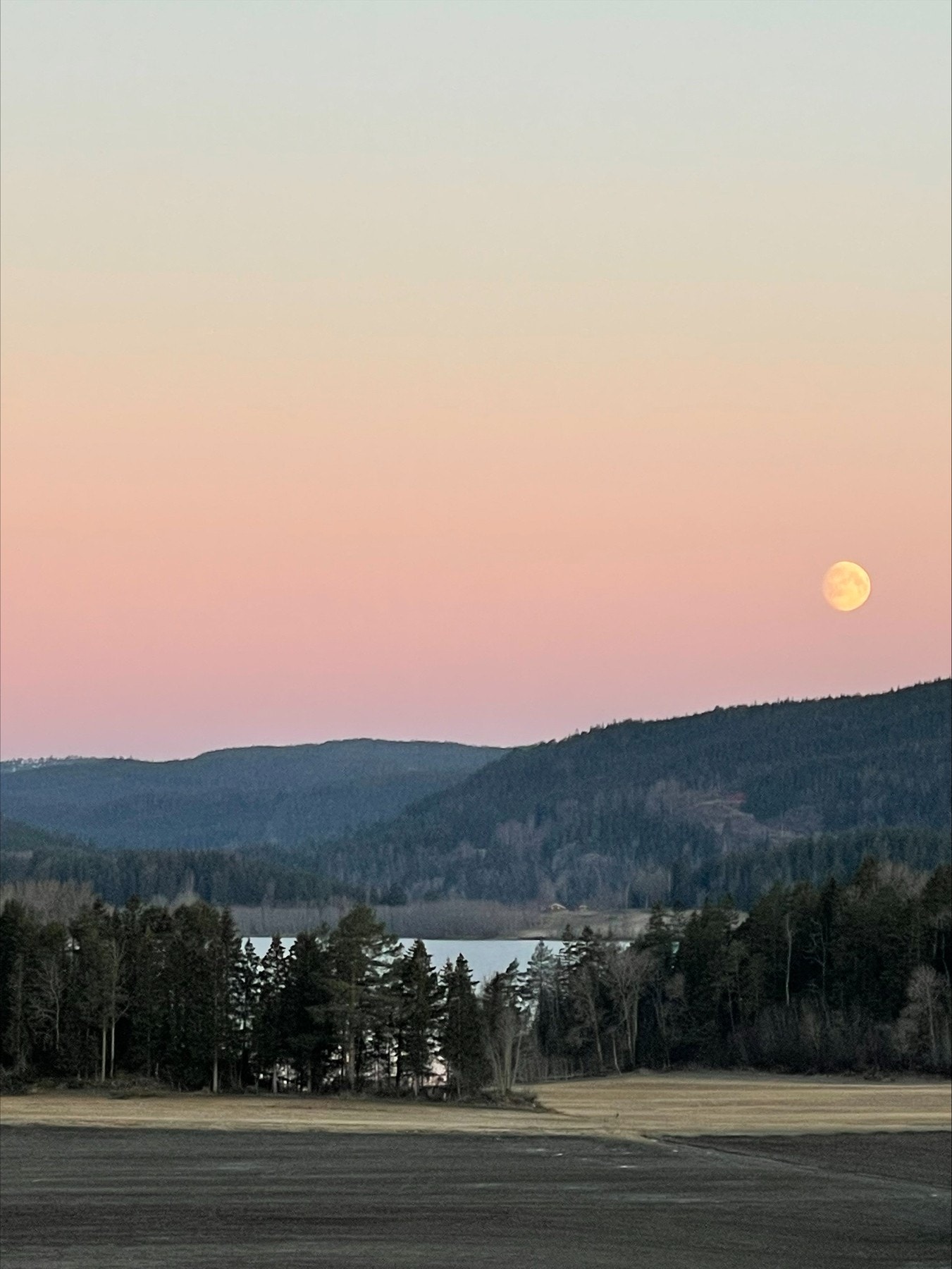 Privat bilde fra selger. Galleribilde