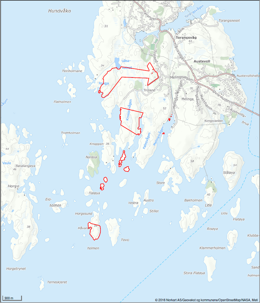 Kart over eiendommen markert med rødt. Galleribilde