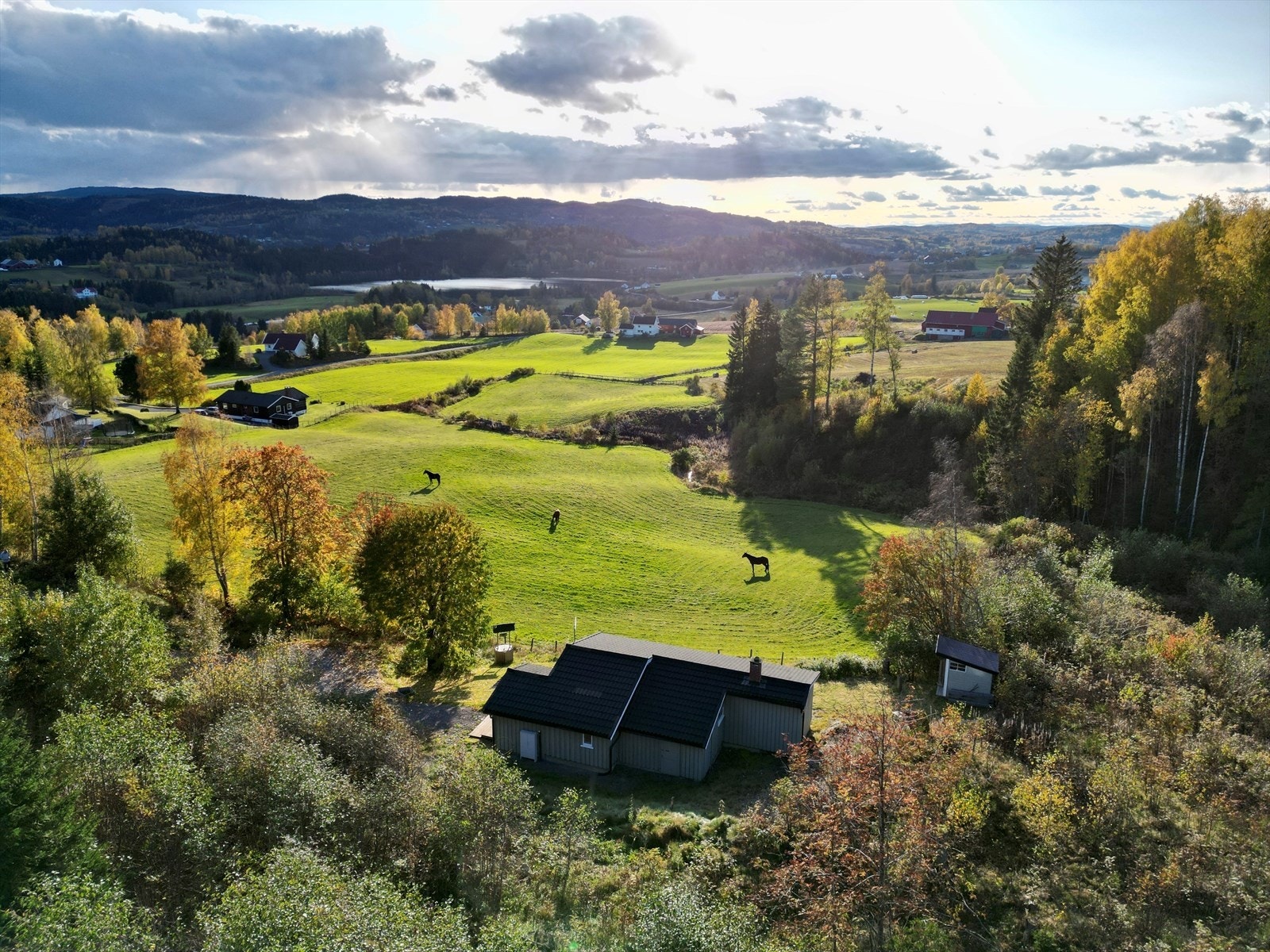 Maurtvedtgutua. Galleribilde