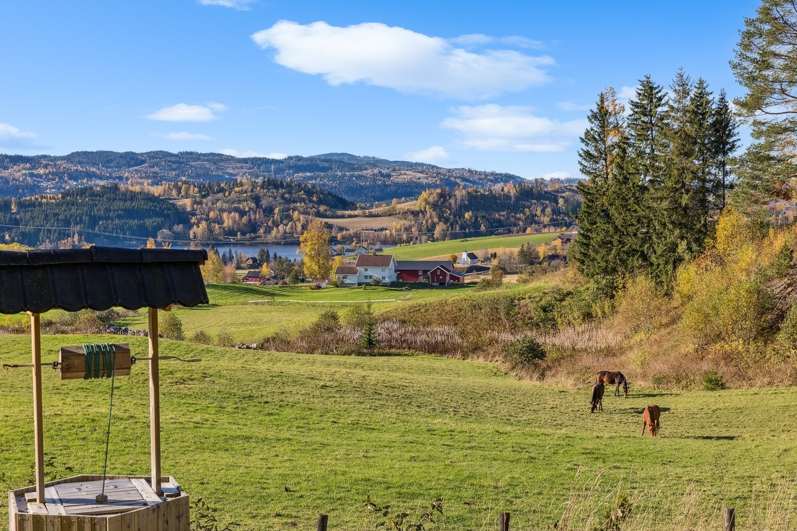 Fantastisk plass, som er veldig fin til både store og små. Galleribilde