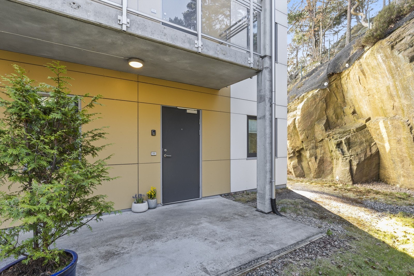 Inngangsparti. Galleribilde