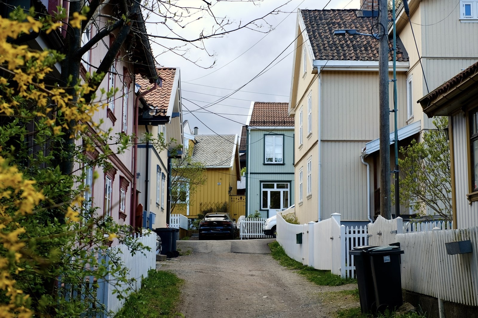 Boligen ligger blant den idylliske trehusbebyggelsen på rolige Rodeløkka Galleribilde